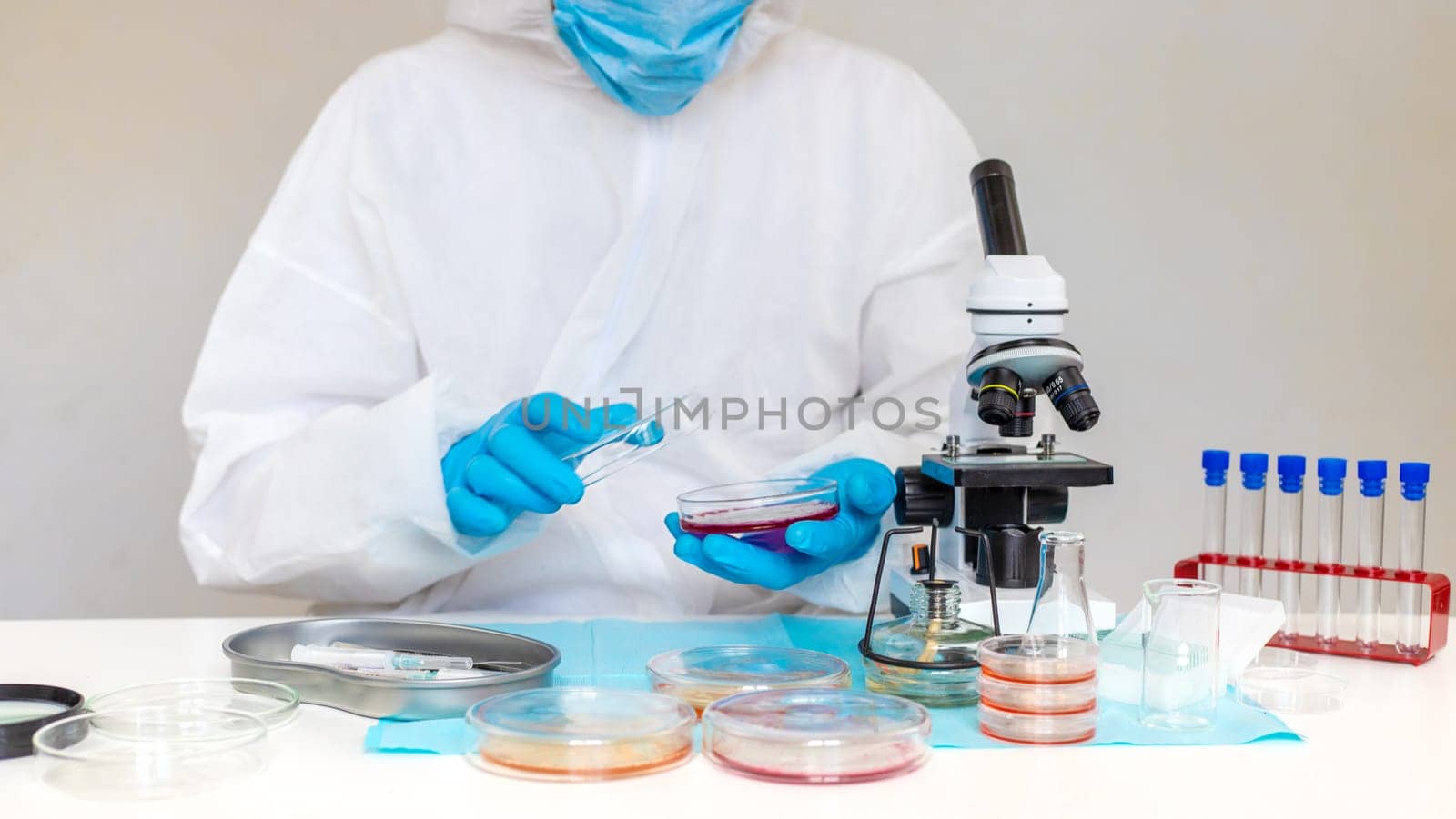 Examine bacteria in petri dishes in the laboratory. Selective focus. nature.