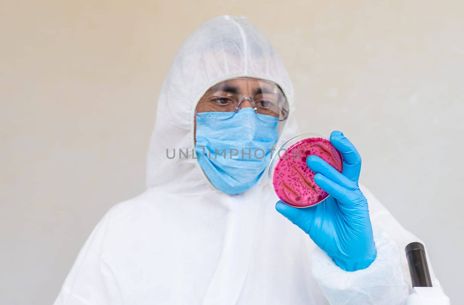 Examine bacteria in petri dishes in the laboratory. Selective focus. nature.