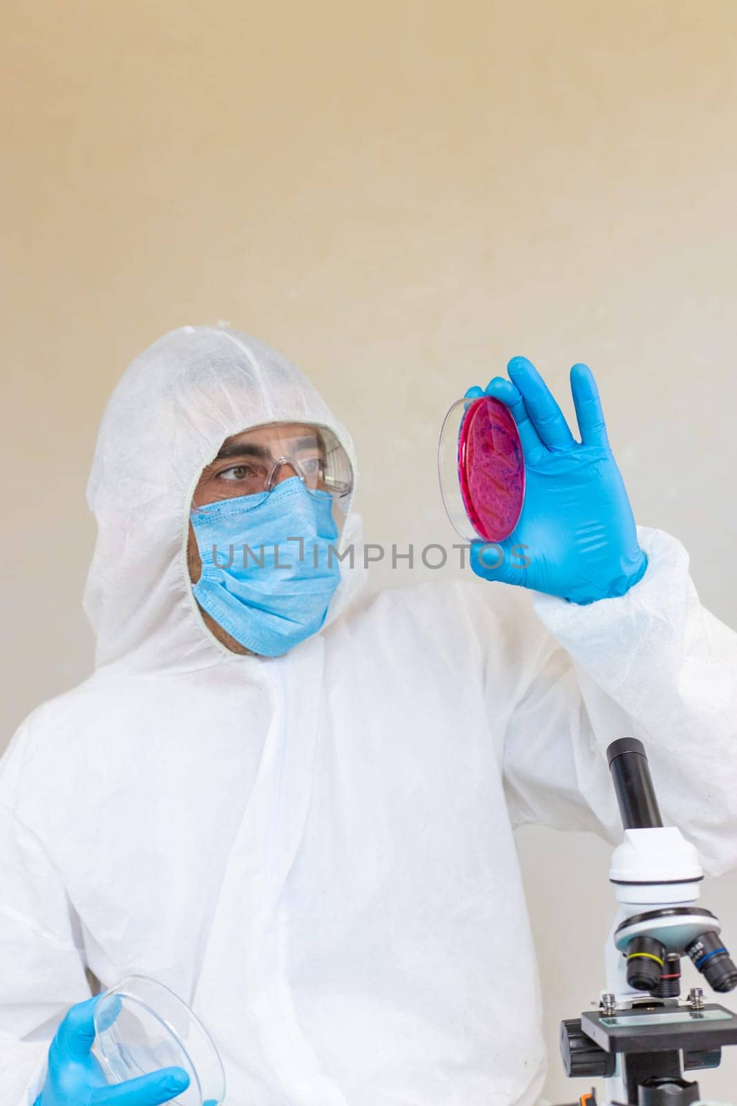 Examine bacteria in petri dishes in the laboratory. Selective focus. nature.