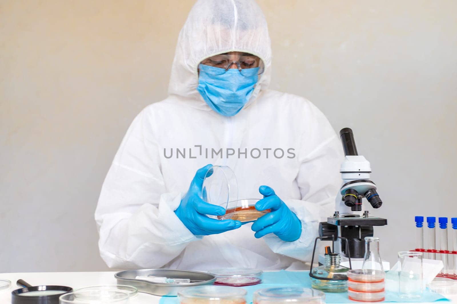 Examine bacteria in petri dishes in the laboratory. Selective focus. nature.