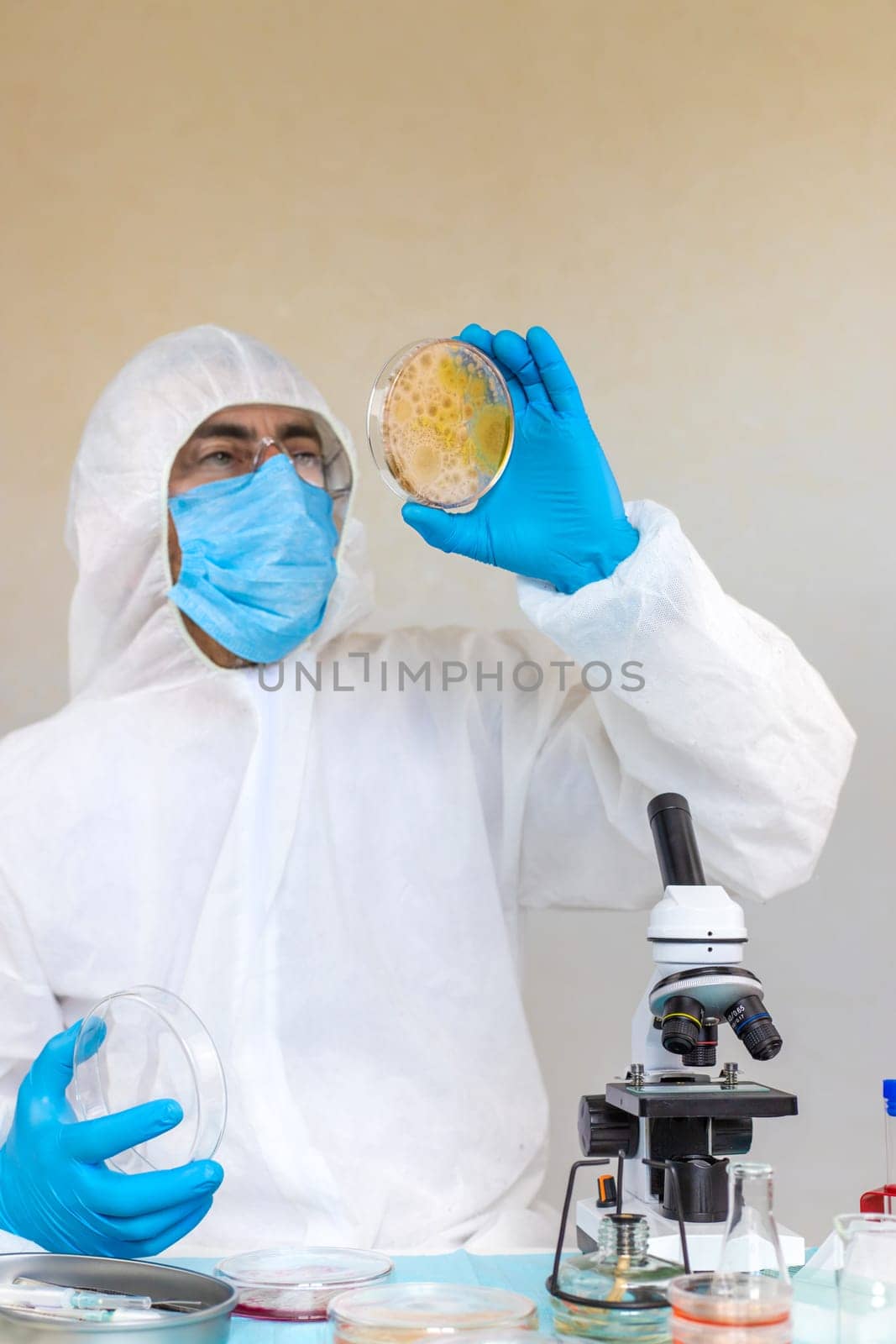 Examine bacteria in petri dishes in the laboratory. Selective focus. nature.