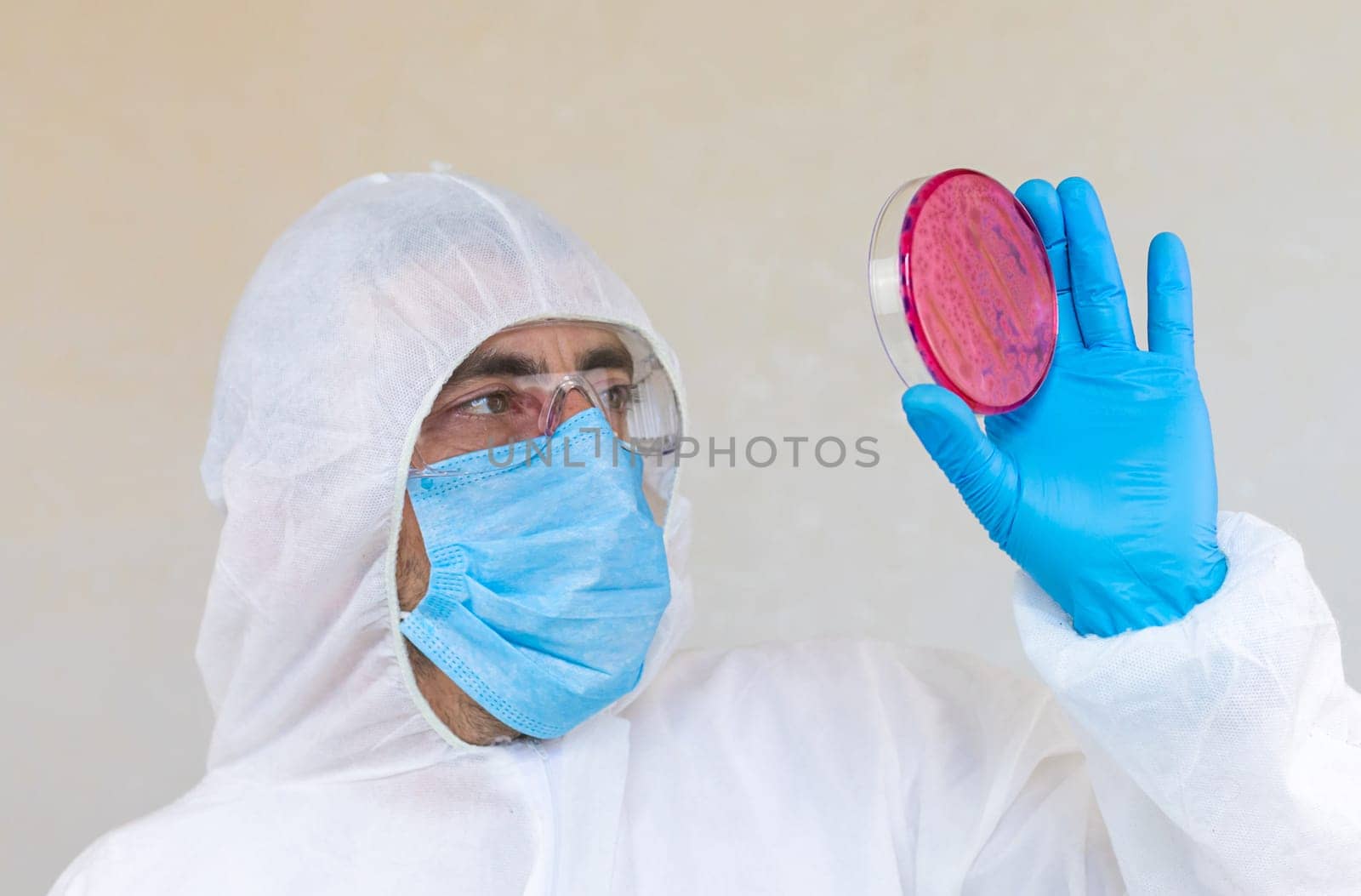 Examine bacteria in petri dishes in the laboratory. Selective focus. nature.