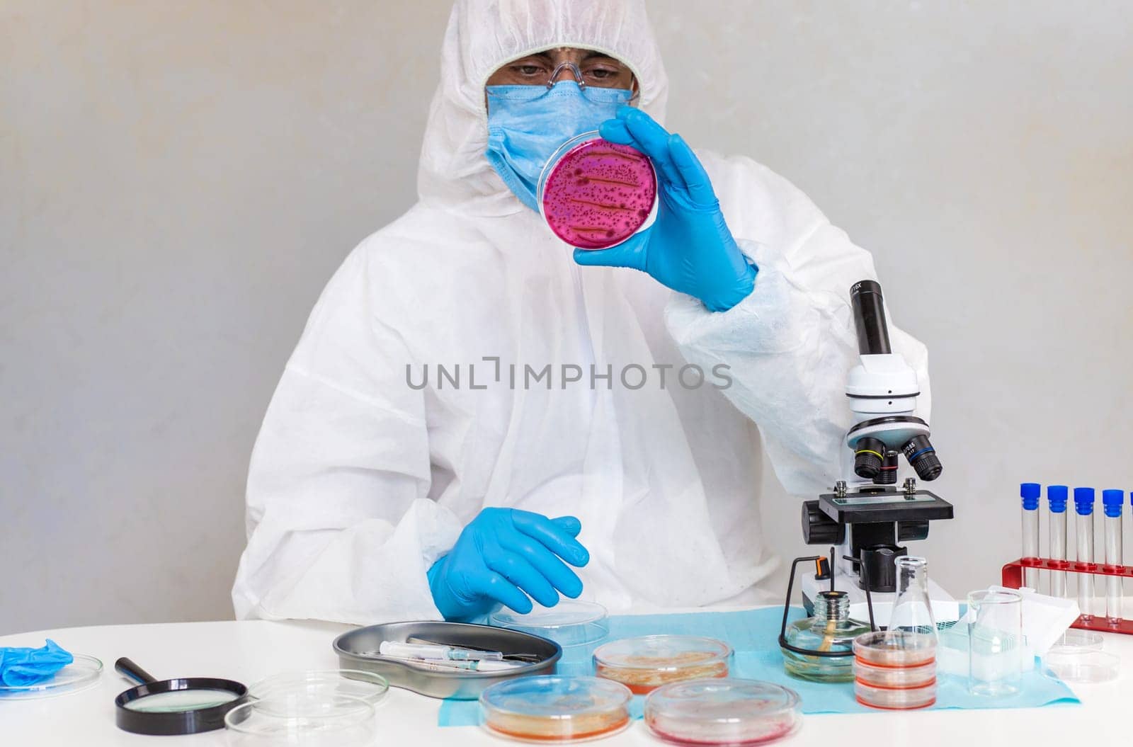 Examine bacteria in petri dishes in the laboratory. Selective focus. nature.