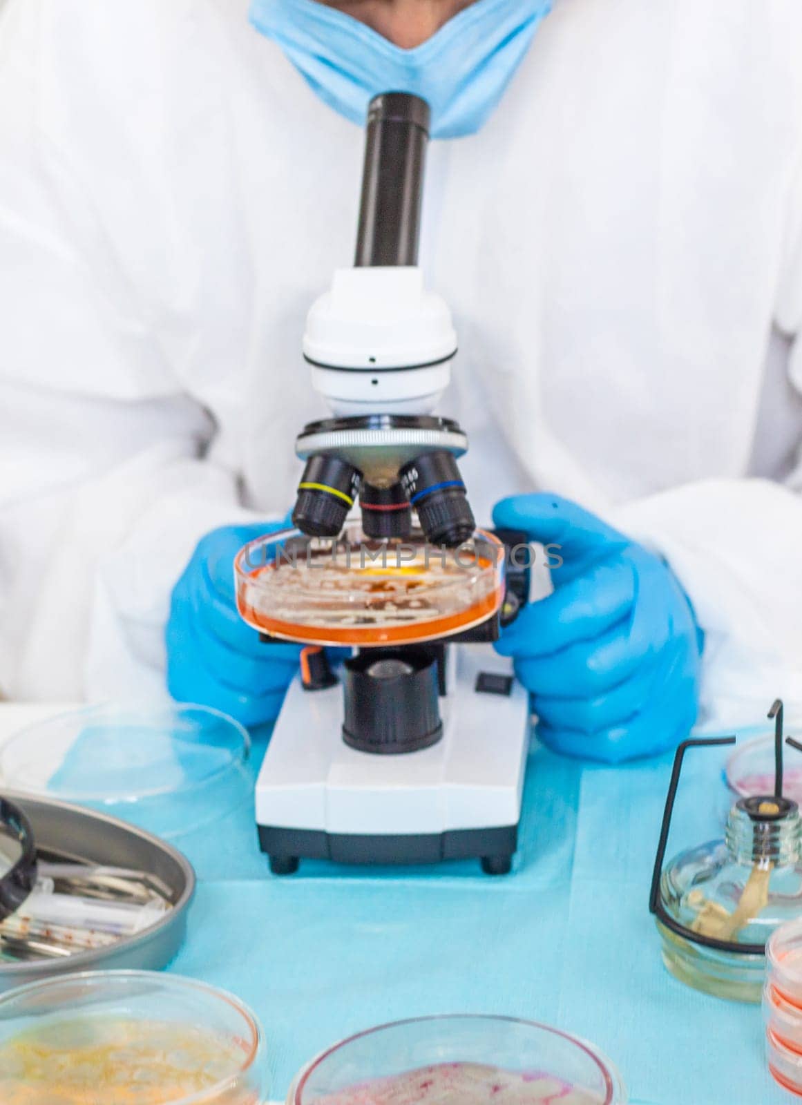 Examine bacteria in petri dishes in the laboratory. Selective focus. nature.