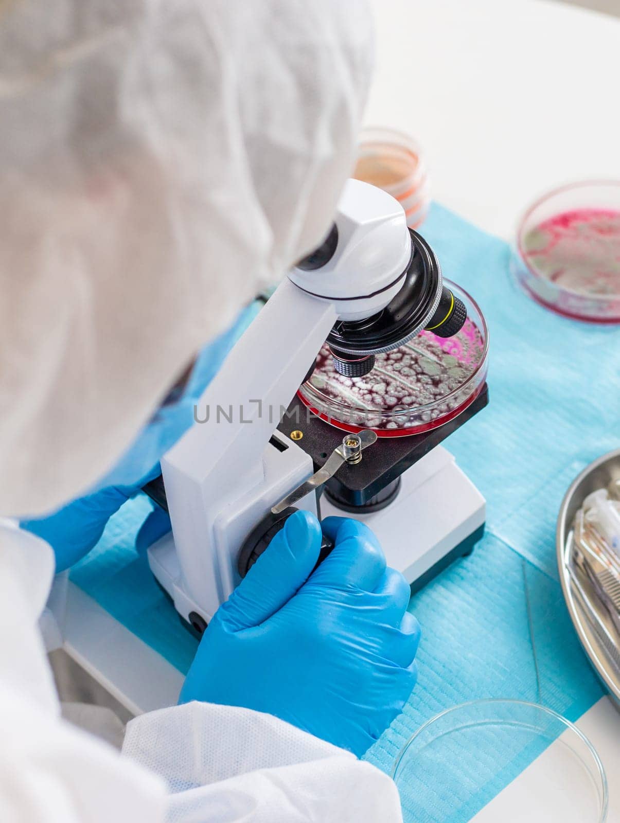 Examine bacteria in petri dishes in the laboratory. Selective focus. nature.