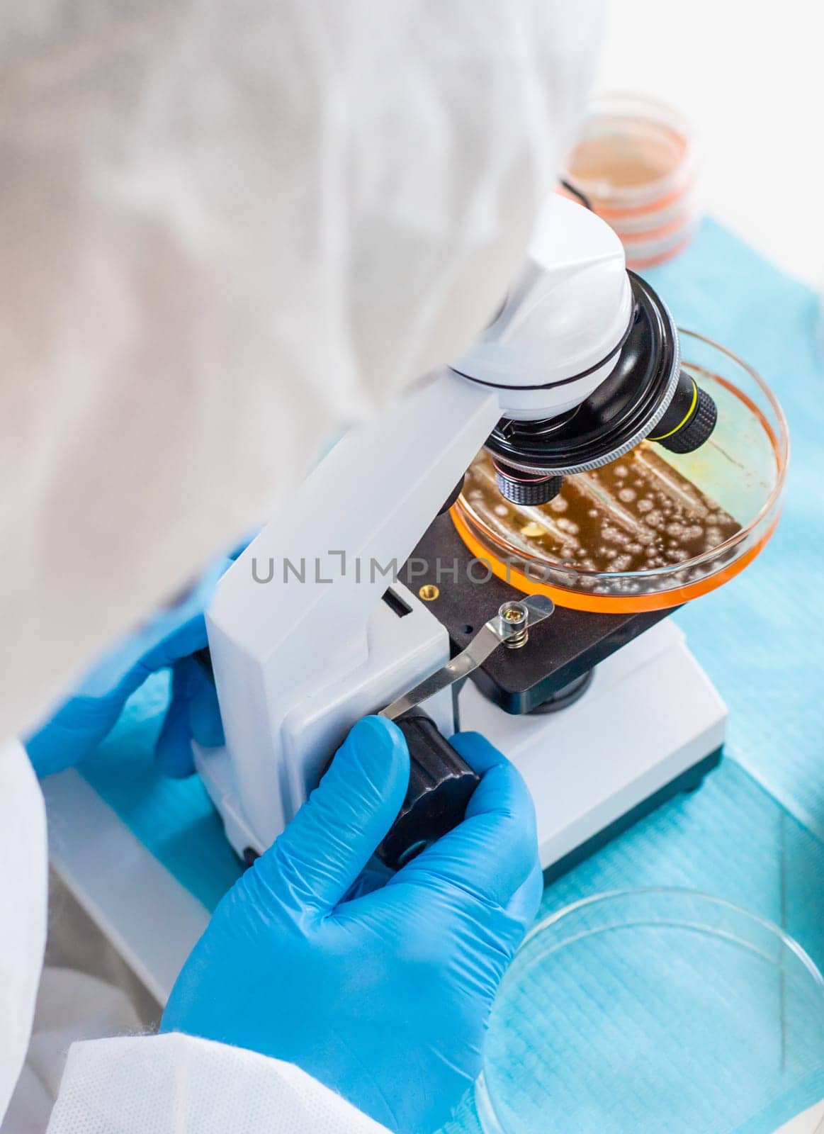 Examine bacteria in petri dishes in the laboratory. Selective focus. nature.