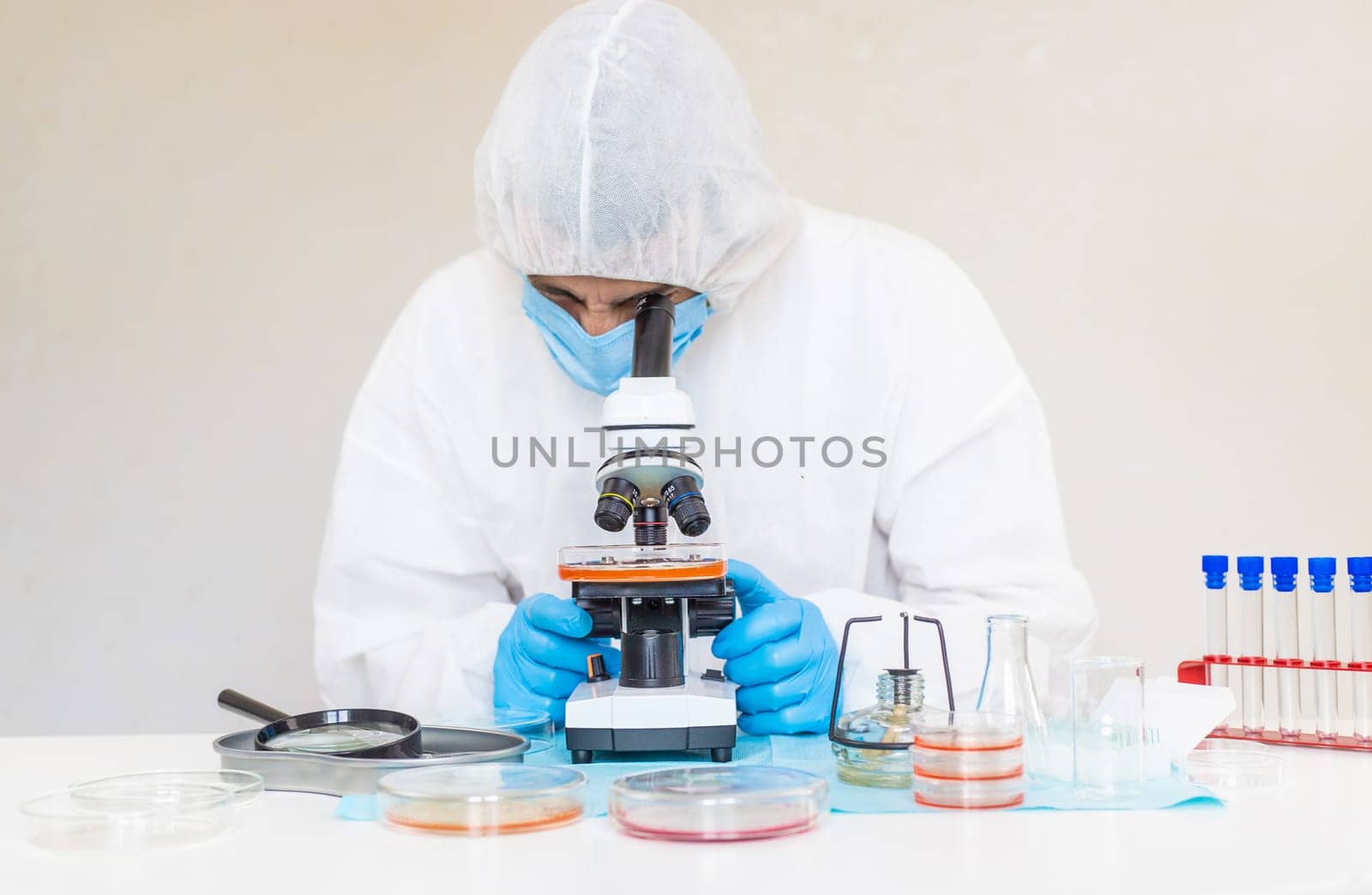 Examine bacteria in petri dishes in the laboratory. Selective focus. nature.