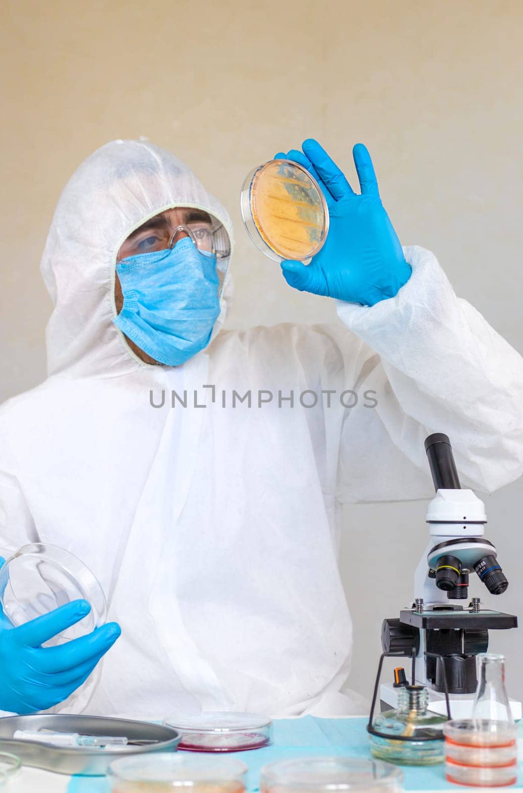Examine bacteria in petri dishes in the laboratory. Selective focus. nature.