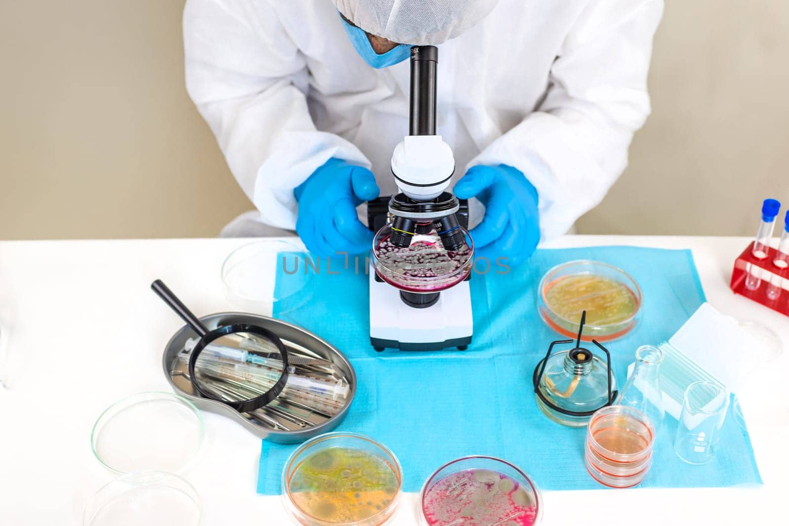 Examine bacteria in petri dishes in the laboratory. Selective focus. nature.