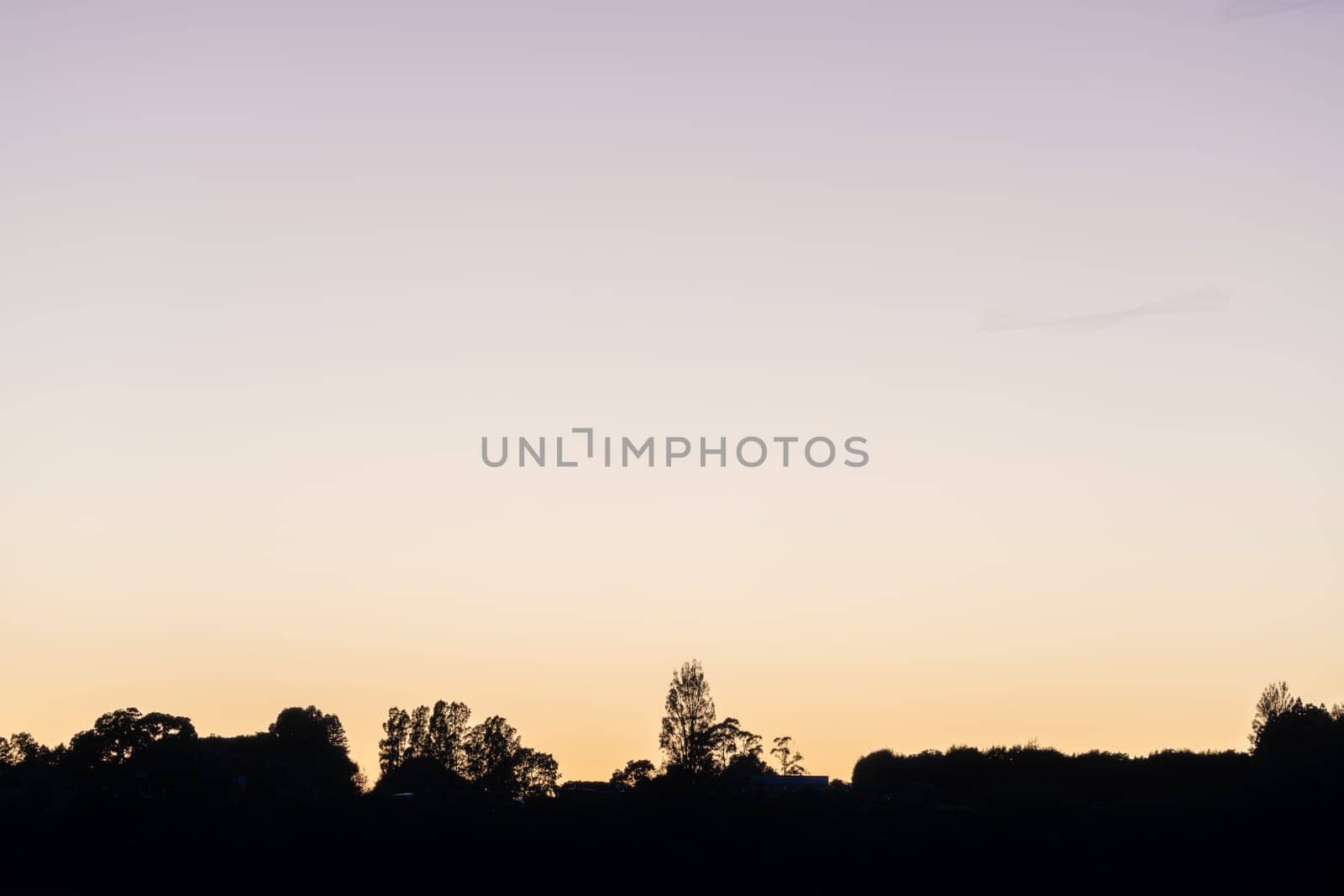 Land and trees in silhouette on horizon at sunrise across bay.