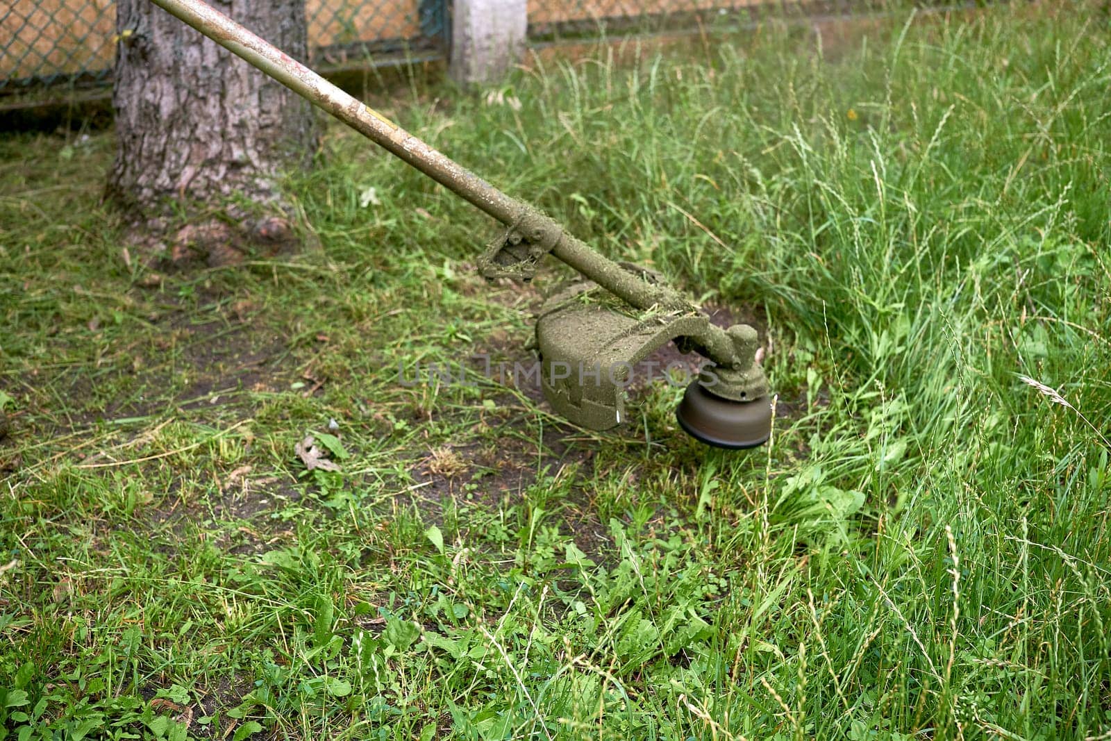 a handle electric or gasoline machine for cutting the grass on a lawn