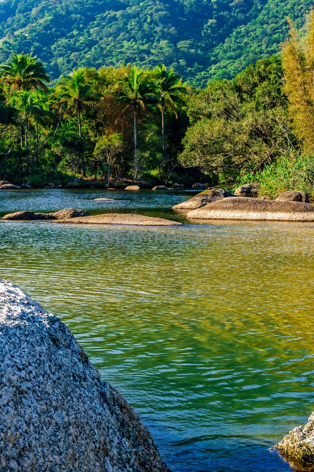 Stream that flows into the paradisiacal Bonete beach surrounded by tropical forest on the island of Ilhabela