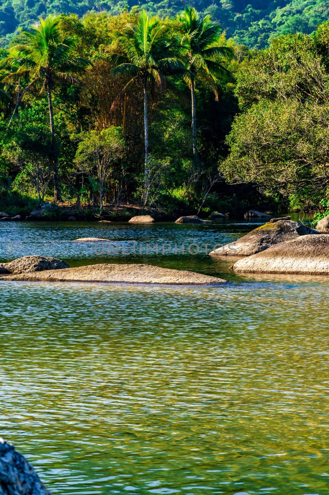 River that flows into Bonete beach surrounded by tropical forest on the island of Ilhabela