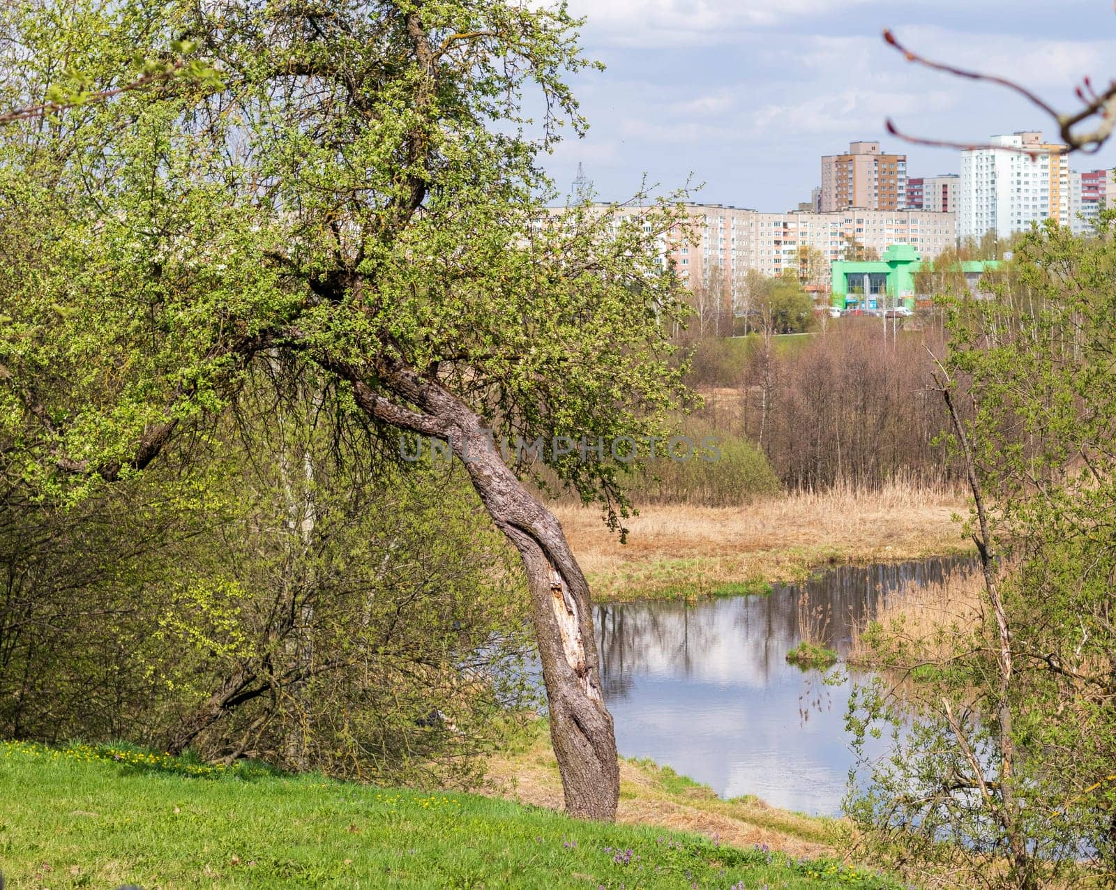 Landscape shot of the river with city buildings on the background.