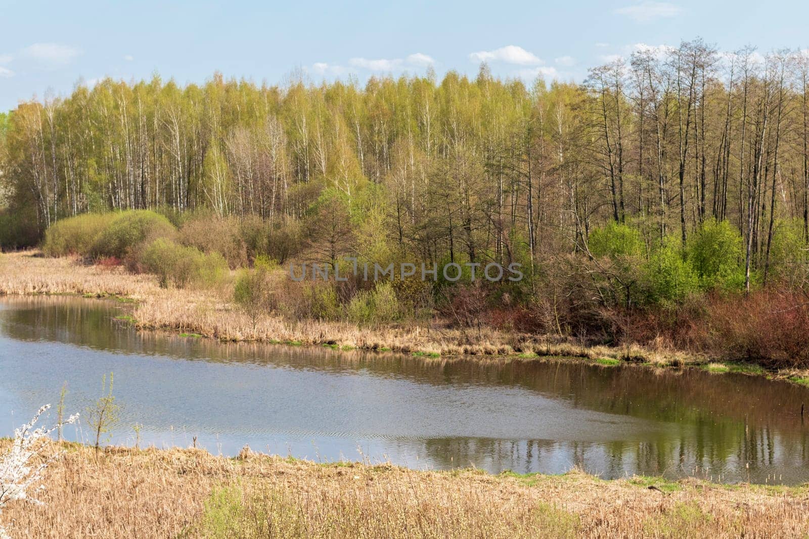 Landscape shot of the river among the blooming trees