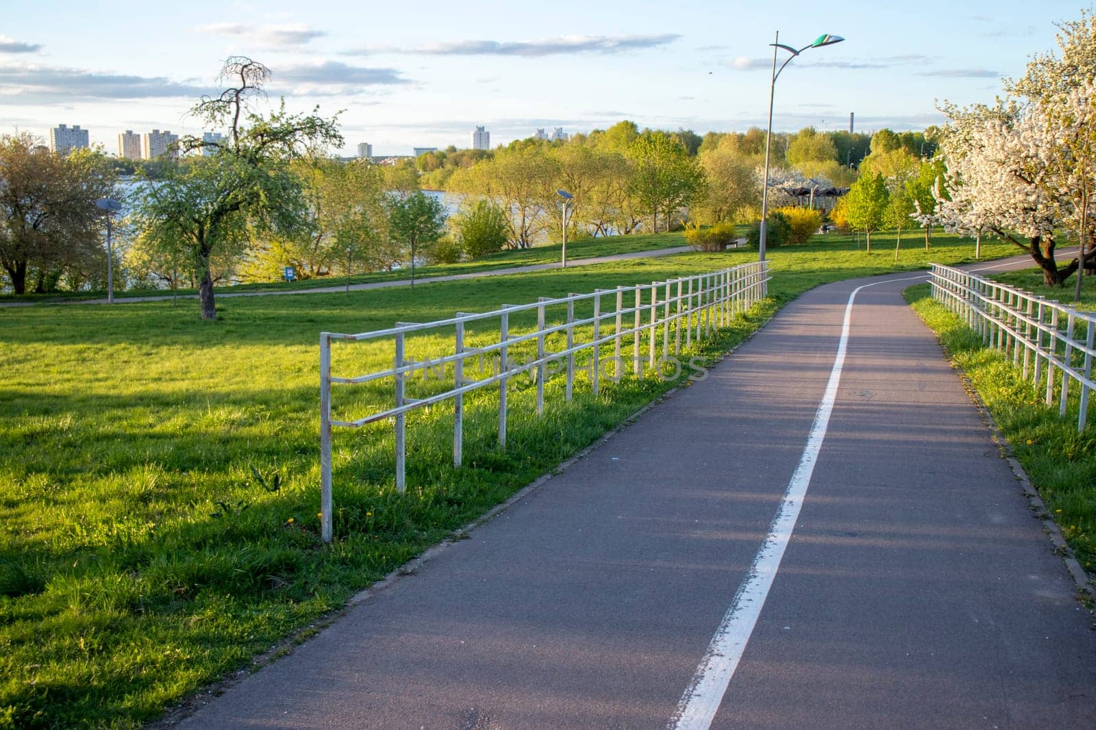 Jogging and cycling trail in the blooming park