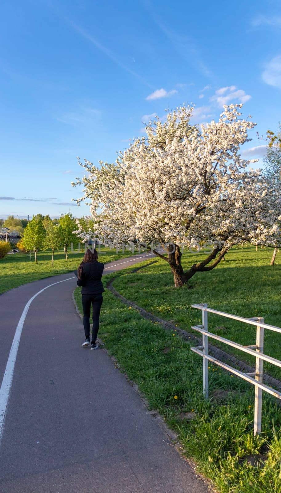 Woman takes photo with her of the blooming with flowers fruit tree in the park