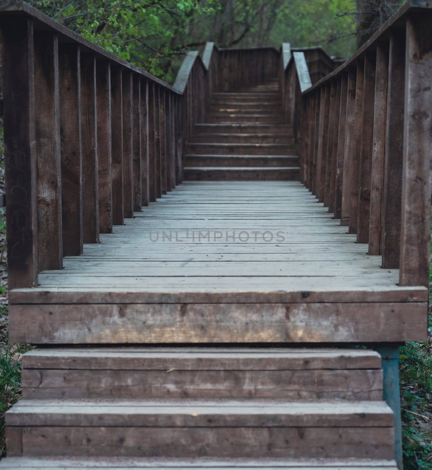 Straight-on view of a wooden stairway bridge with railings leading uphill through a green forest, captured in soft natural daylight.