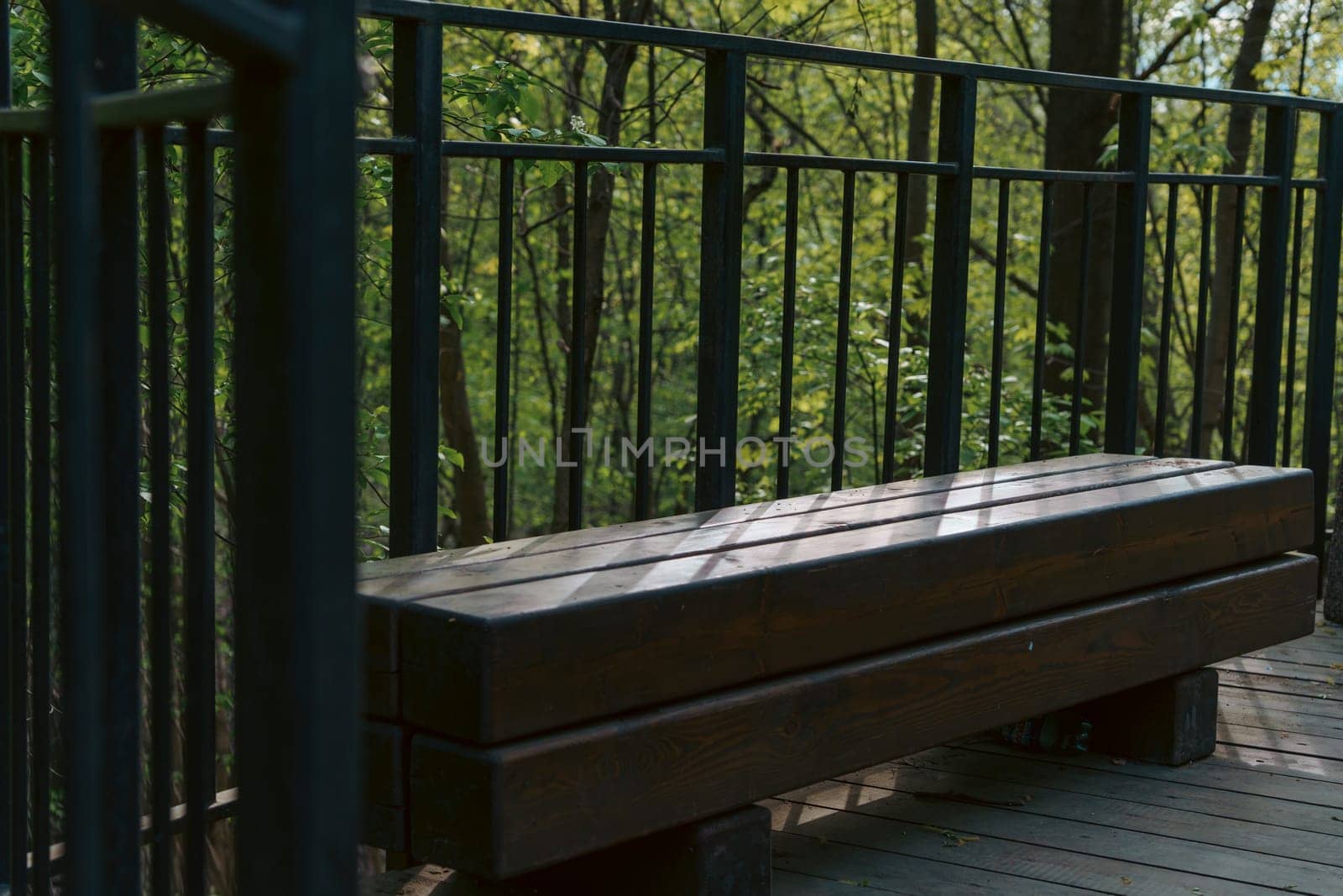 Rustic wooden bench surrounded by black metal railing in a sun-dappled forest, creating a peaceful natural resting spot.