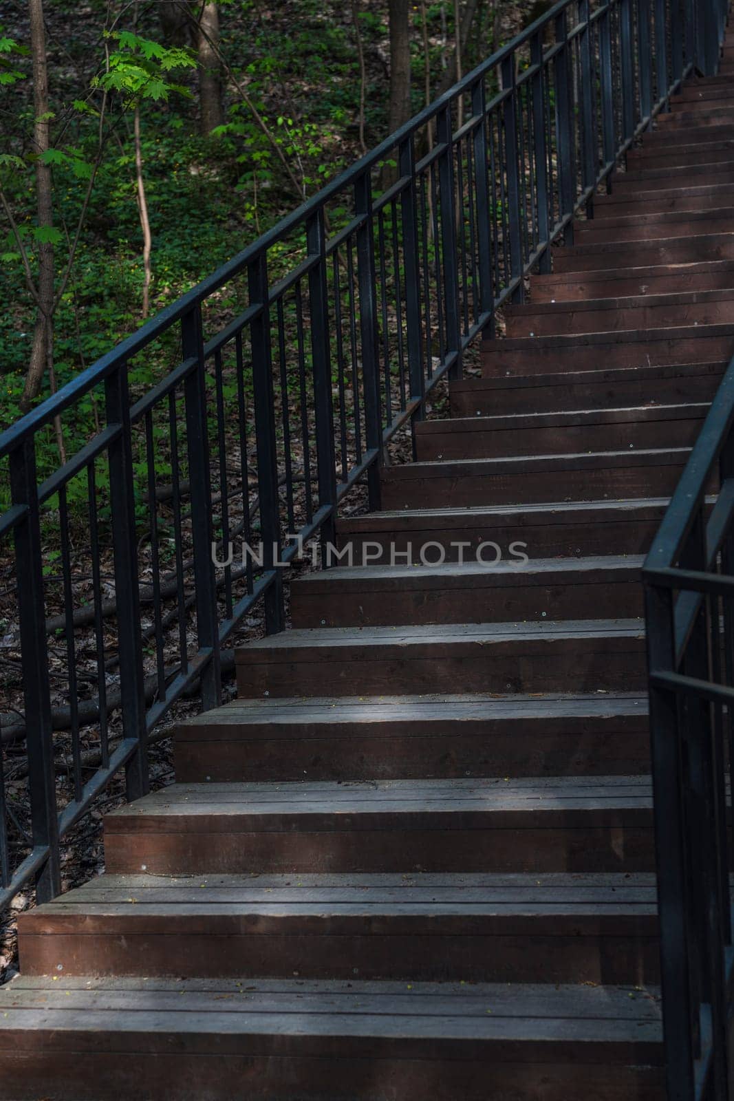 Wooden staircase with black metal handrails ascending through a lush green forest, surrounded by trees and scattered sunlight on the steps.