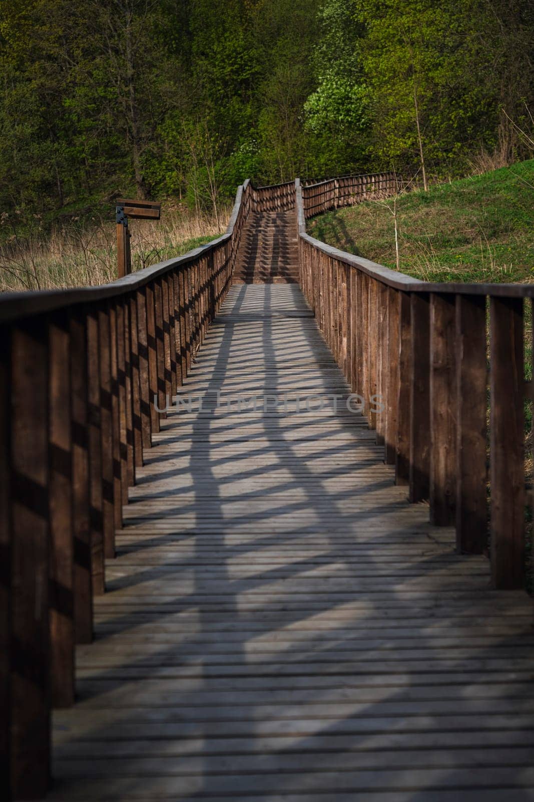 Long wooden boardwalk with railings casting geometric shadows, stretching into a lush green forest in springtime.