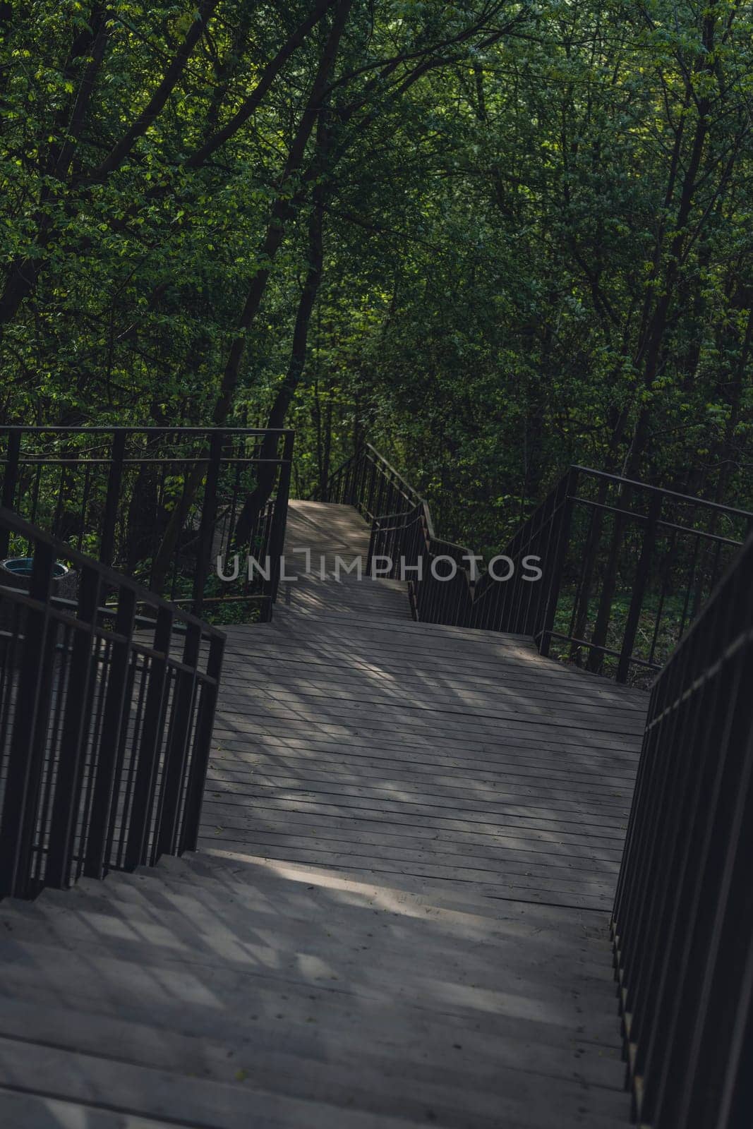 Wooden steps with metal railings wind through a lush green forest, creating a peaceful, shaded walkway in natural surroundings.