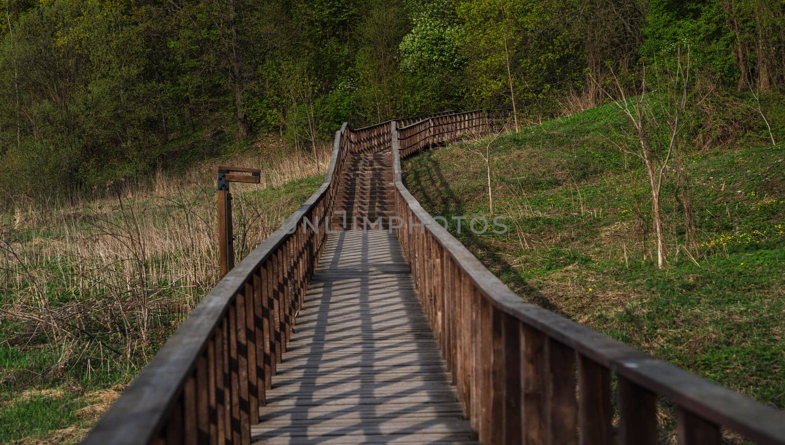 Elevated wooden pathway with handrails winding through a grassy meadow and green forest under warm spring sunlight.