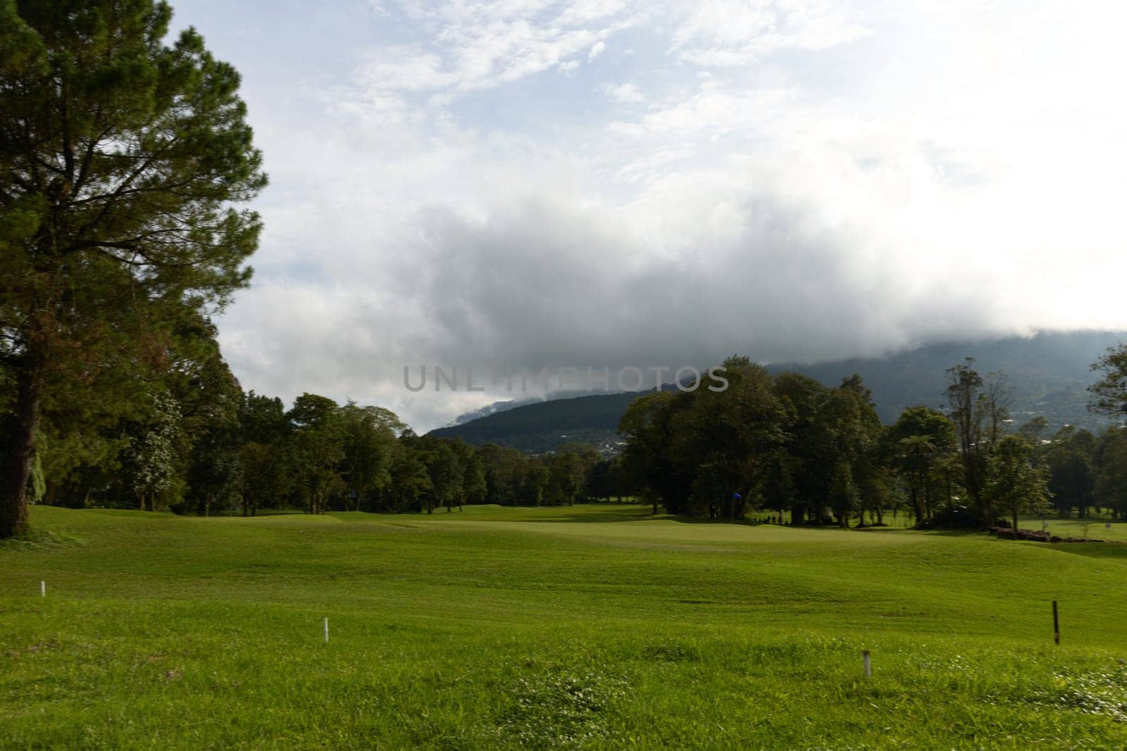 Scenic view of a vibrant green golf course under a cloudy sky, ideal for sports enthusiasts and outdoor activities during any season