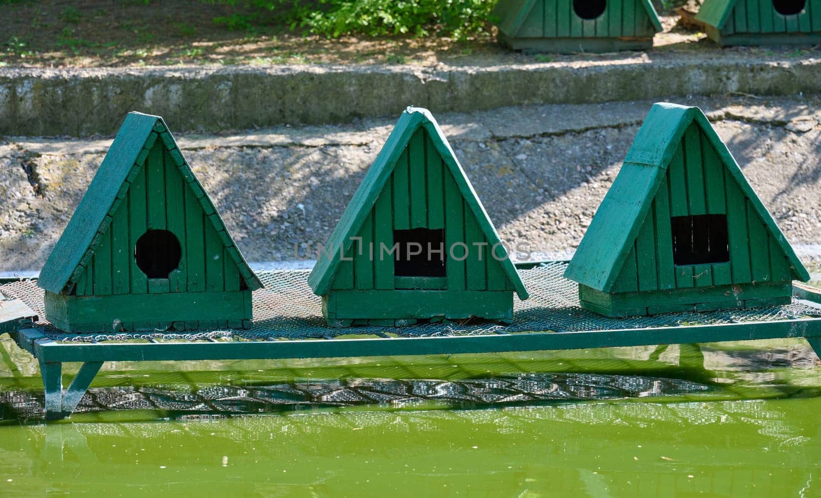 Small green wooden birdhouses with triangular roofs, set on a green metal platform over green water. Each birdhouse has an entrance hole