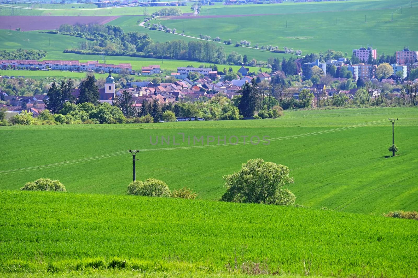 Beautiful traditional spring landscape in the Czech Republic. Nature in spring time in Europe.