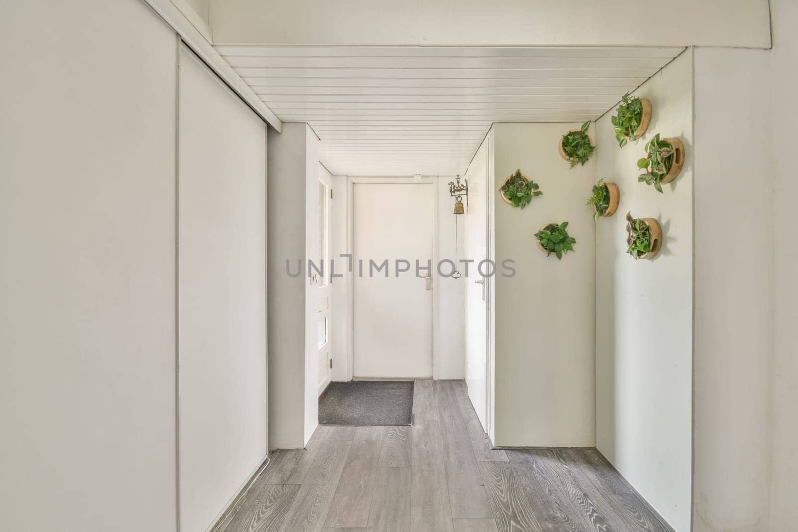 A sleek, modern hallway featuring a unique vertical garden and minimalistic design elements, creating a fresh and inviting atmosphere.