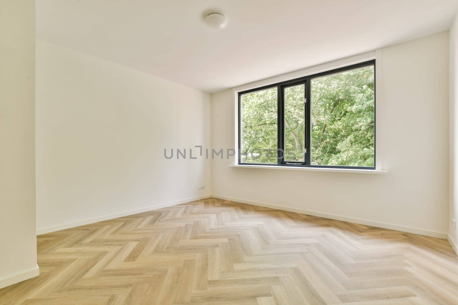 A bright and airy empty room featuring light wood flooring and a large window providing a view of greenery outside.