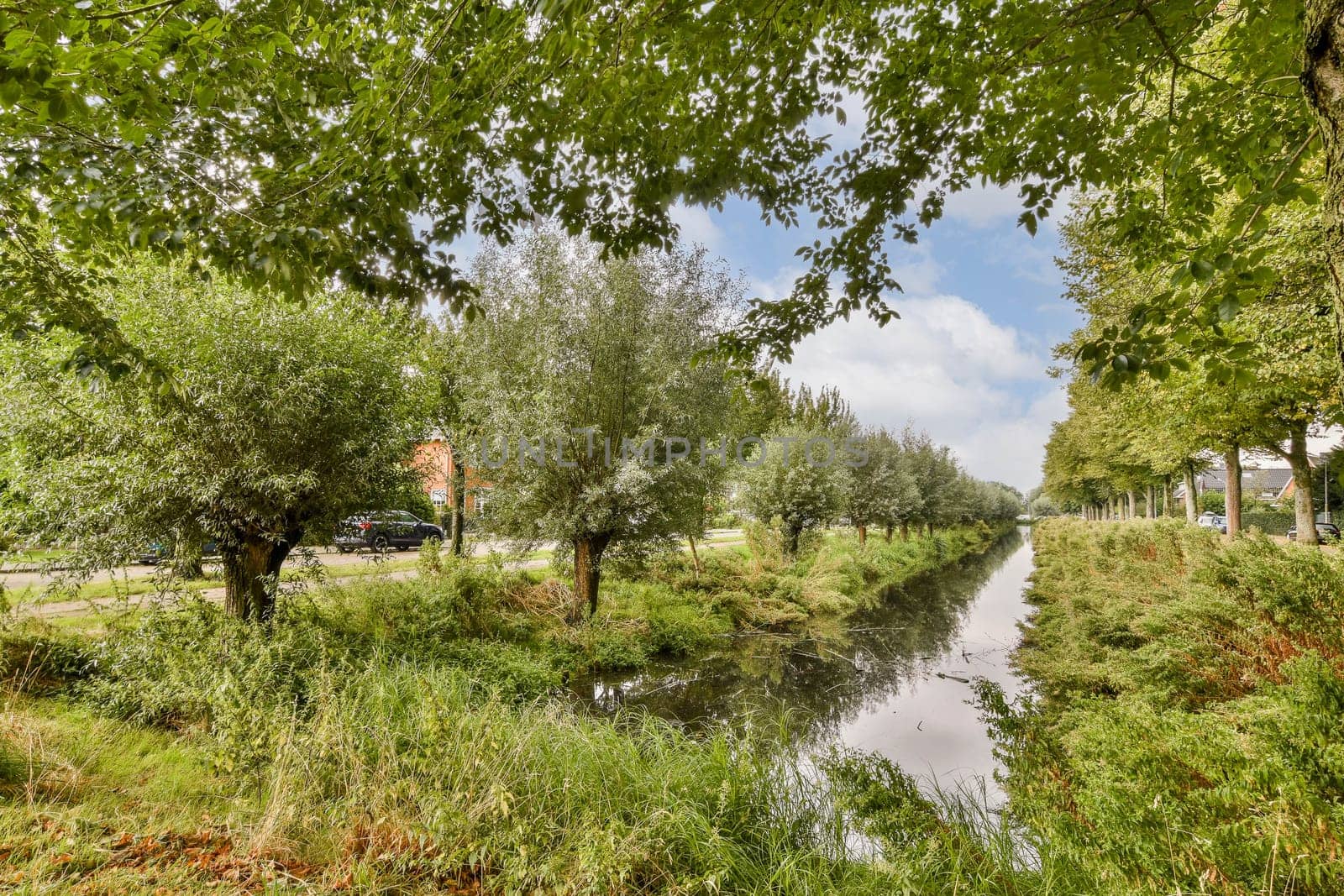 A tranquil scene featuring a tree-lined pathway alongside a serene waterway, surrounded by lush greenery and vibrant foliage, ideal for nature lovers.