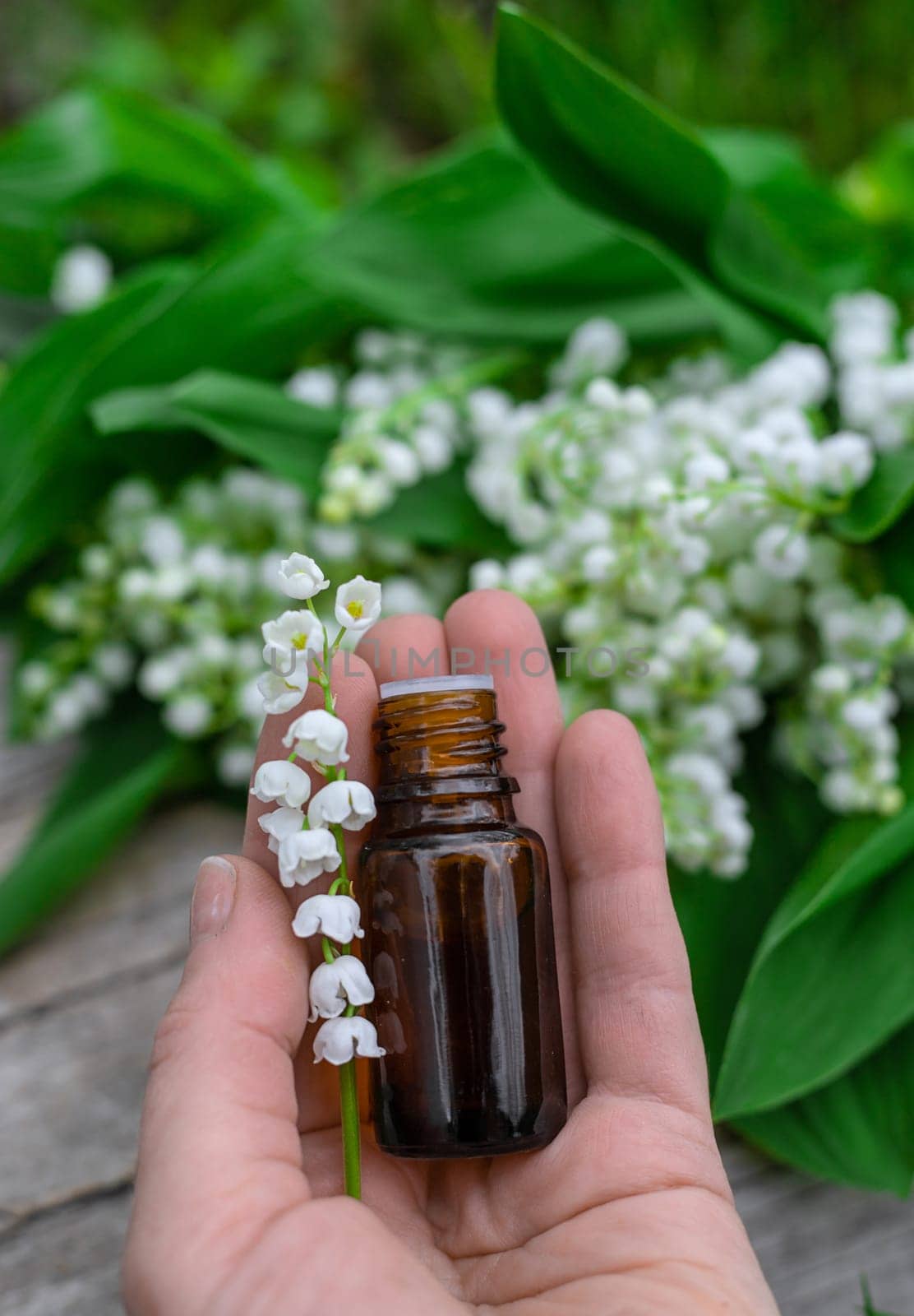 Lily of the valley extract in a bottle. Selective focus. nature.