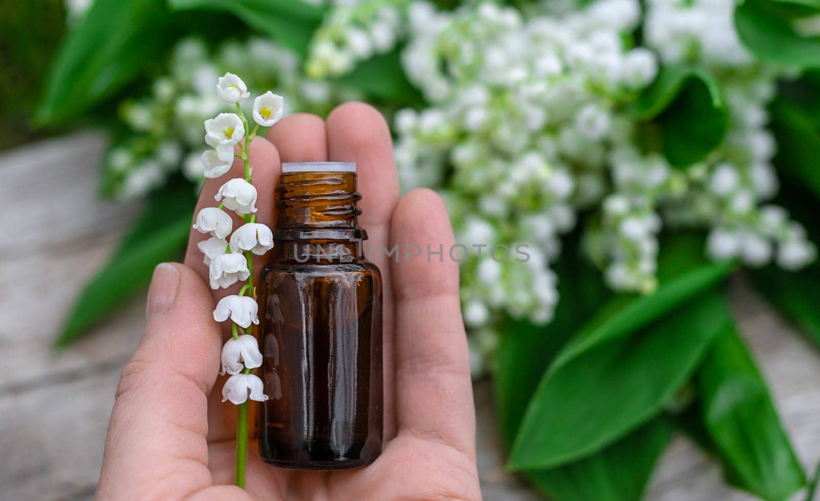 Lily of the valley extract in a bottle. Selective focus. nature.