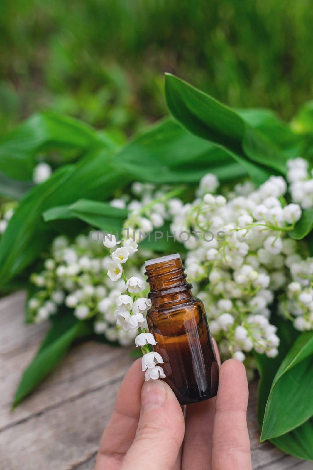Lily of the valley extract in a bottle. Selective focus. nature.