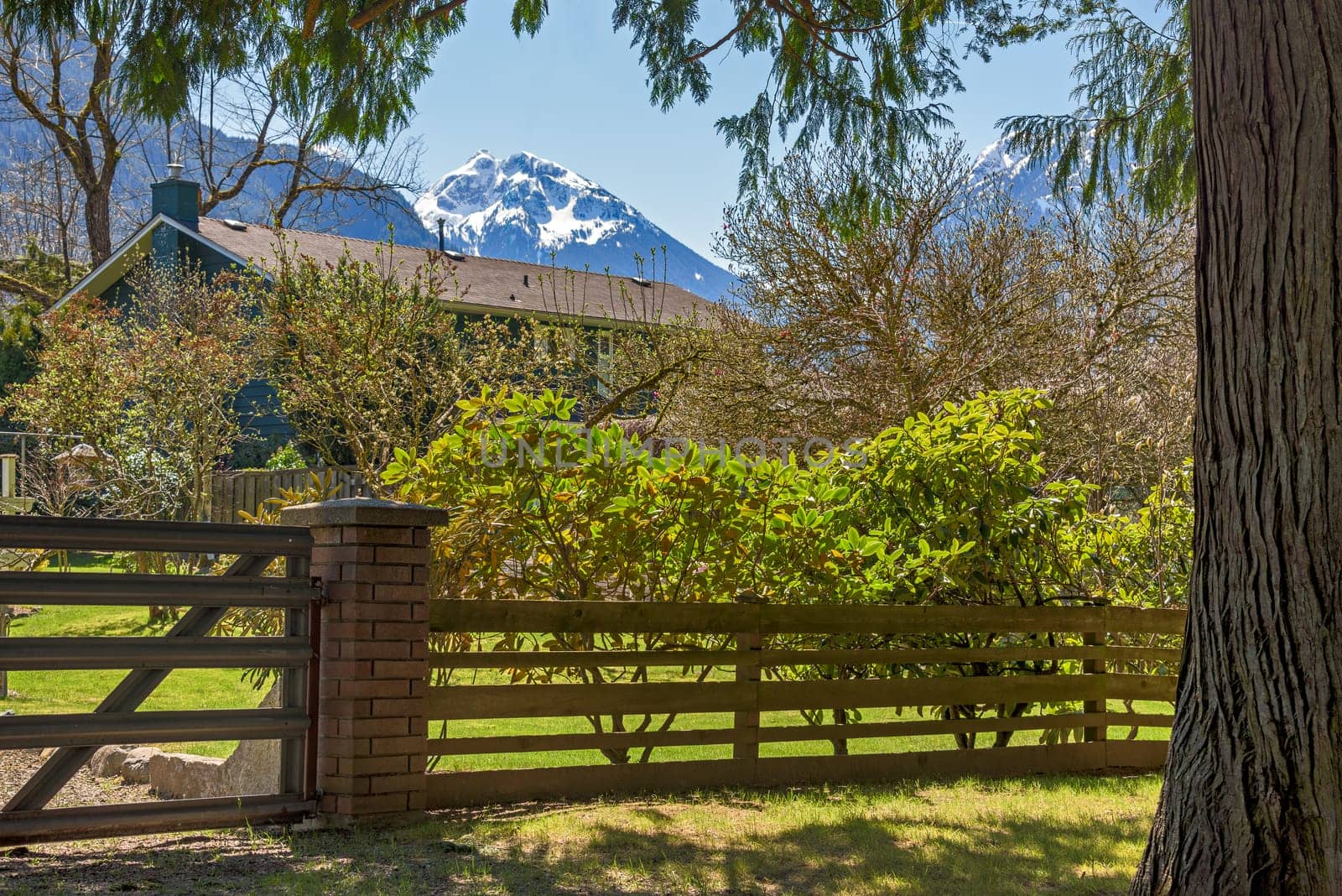 Gated residential area of a small town in Canada with snow top mountain view.