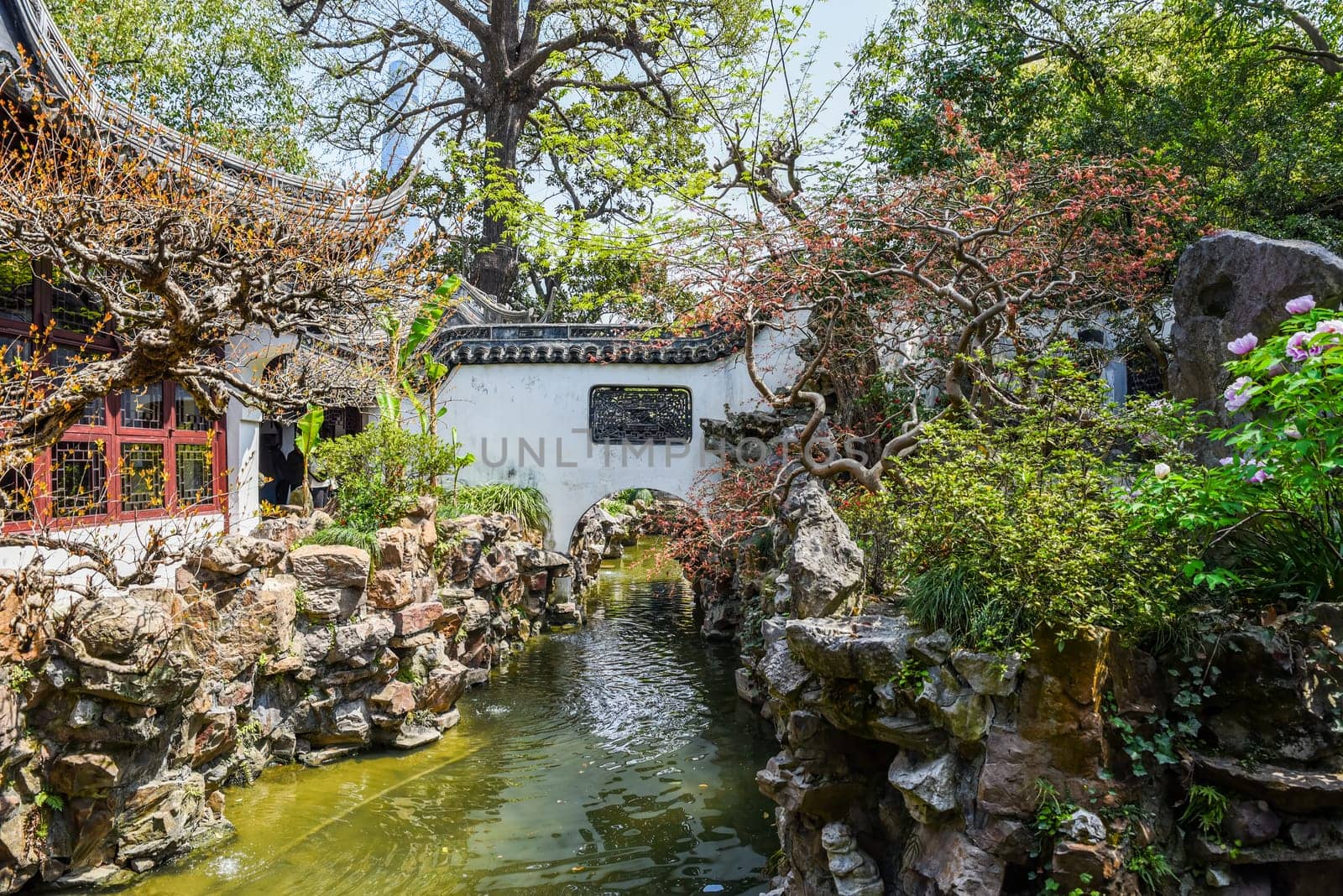 Shanghai, China - 1 April 2025: Scenic view of a traditional Chinese garden with pond, rock formations, and trees in full bloom inside the historic Yu Garden