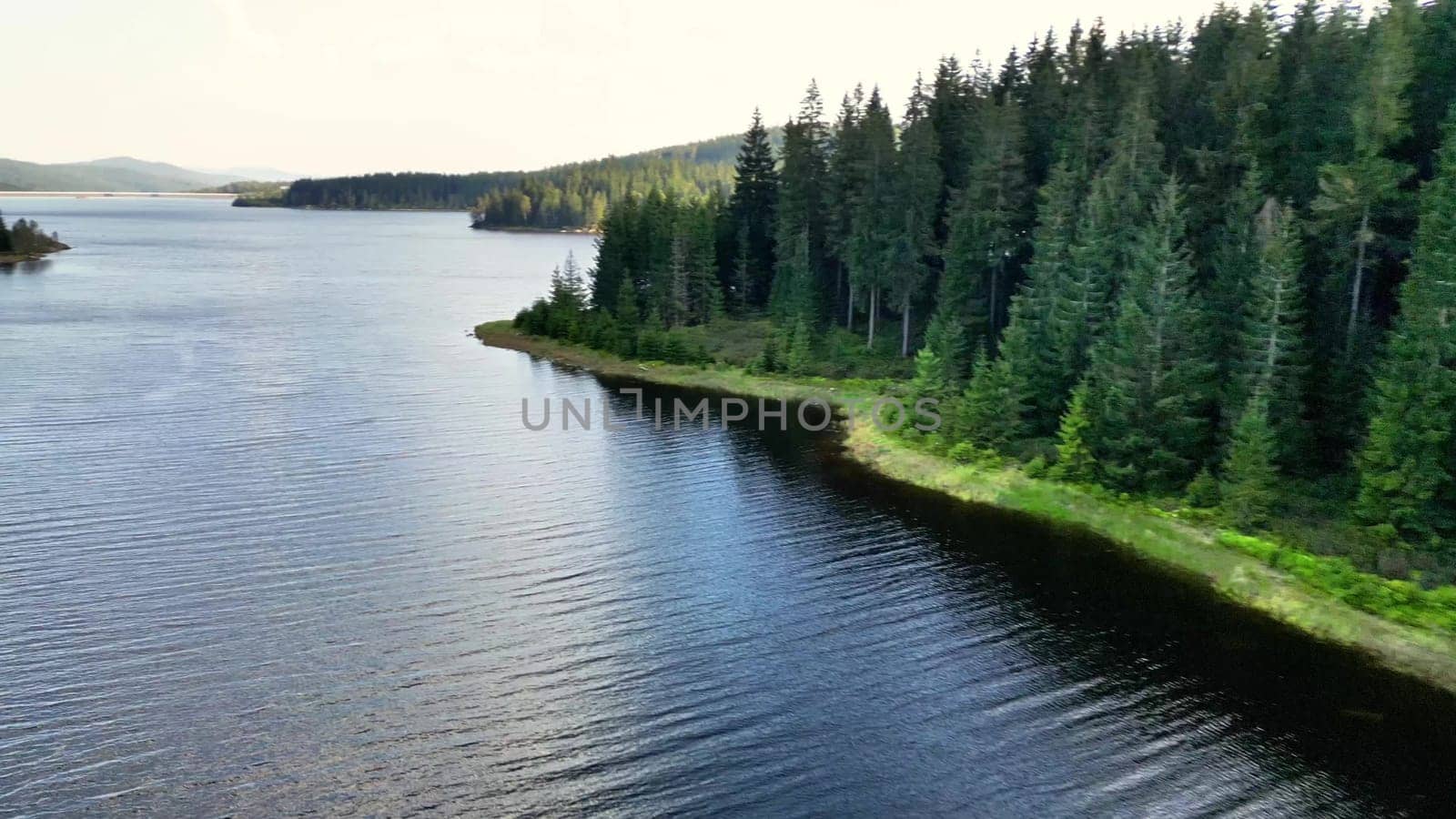 A calm view of a picturesque lake surrounded by vibrant green trees, capturing the essence of nature