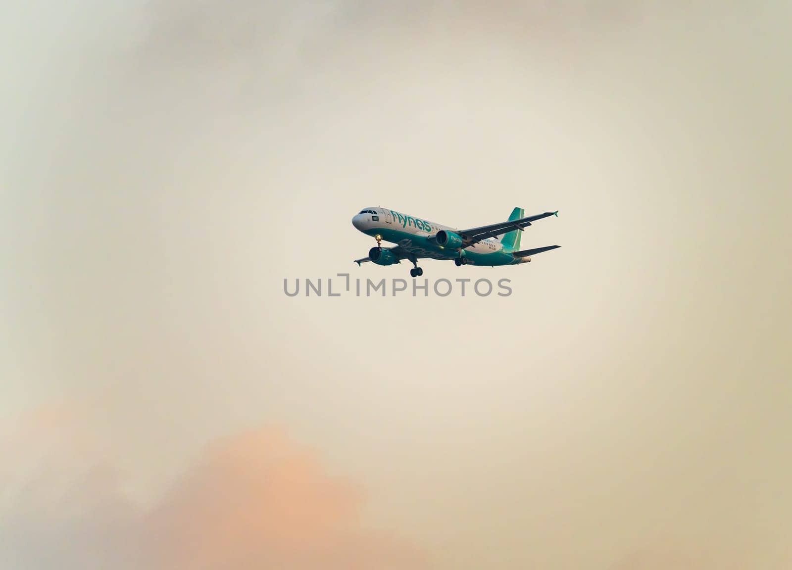 Cairo, Egypt - 7 November 2024: Flynas Airbus A320-214 jet plane with landing gear descending to land