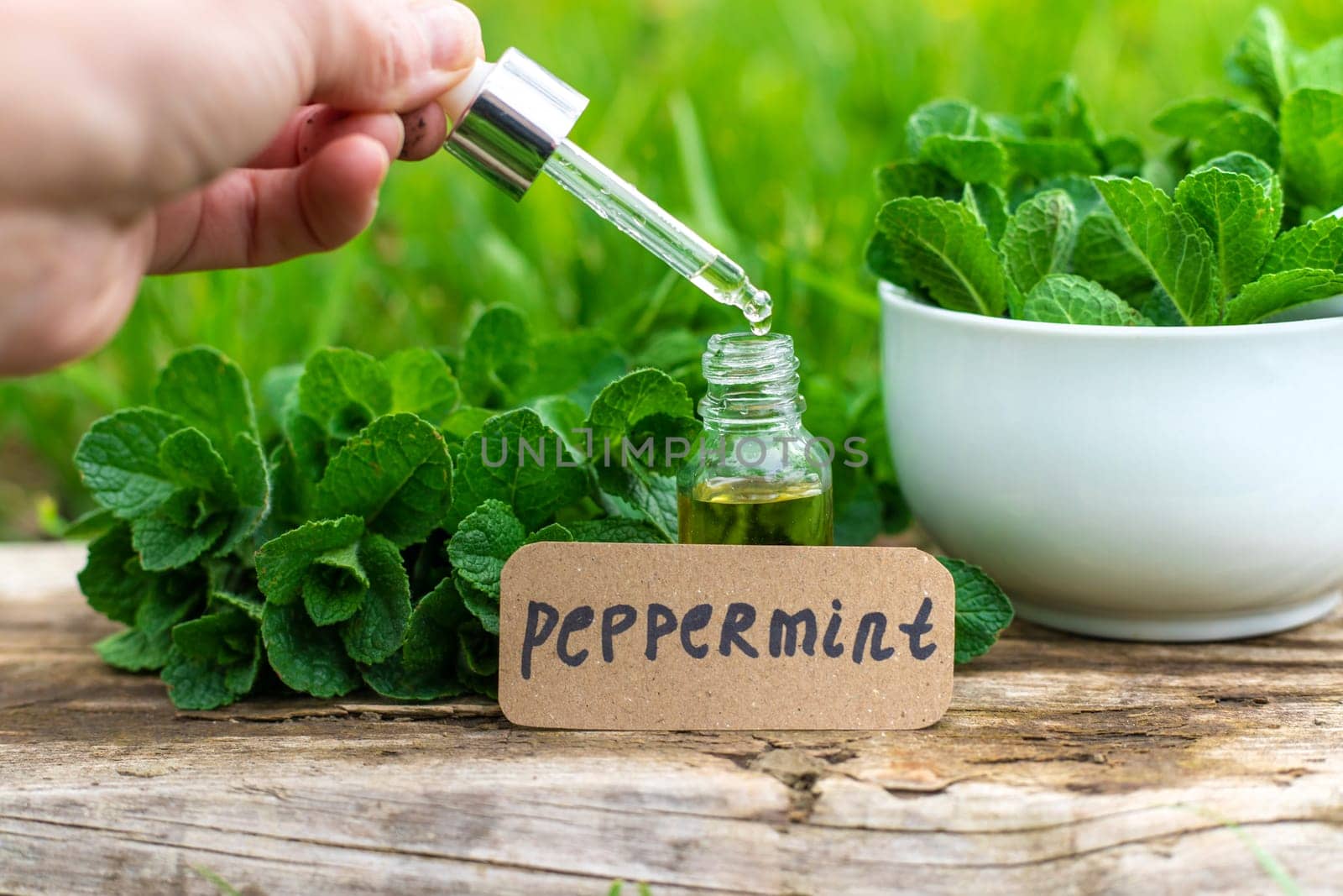 Peppermint extract essential oil and supplements. Selective focus. nature.