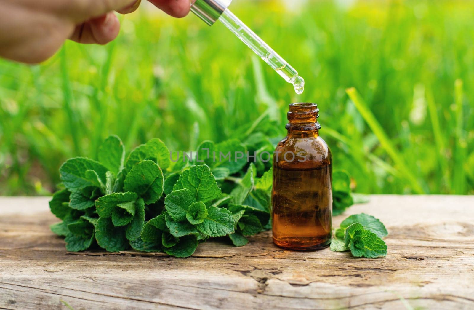 Peppermint extract essential oil and supplements. Selective focus. nature.
