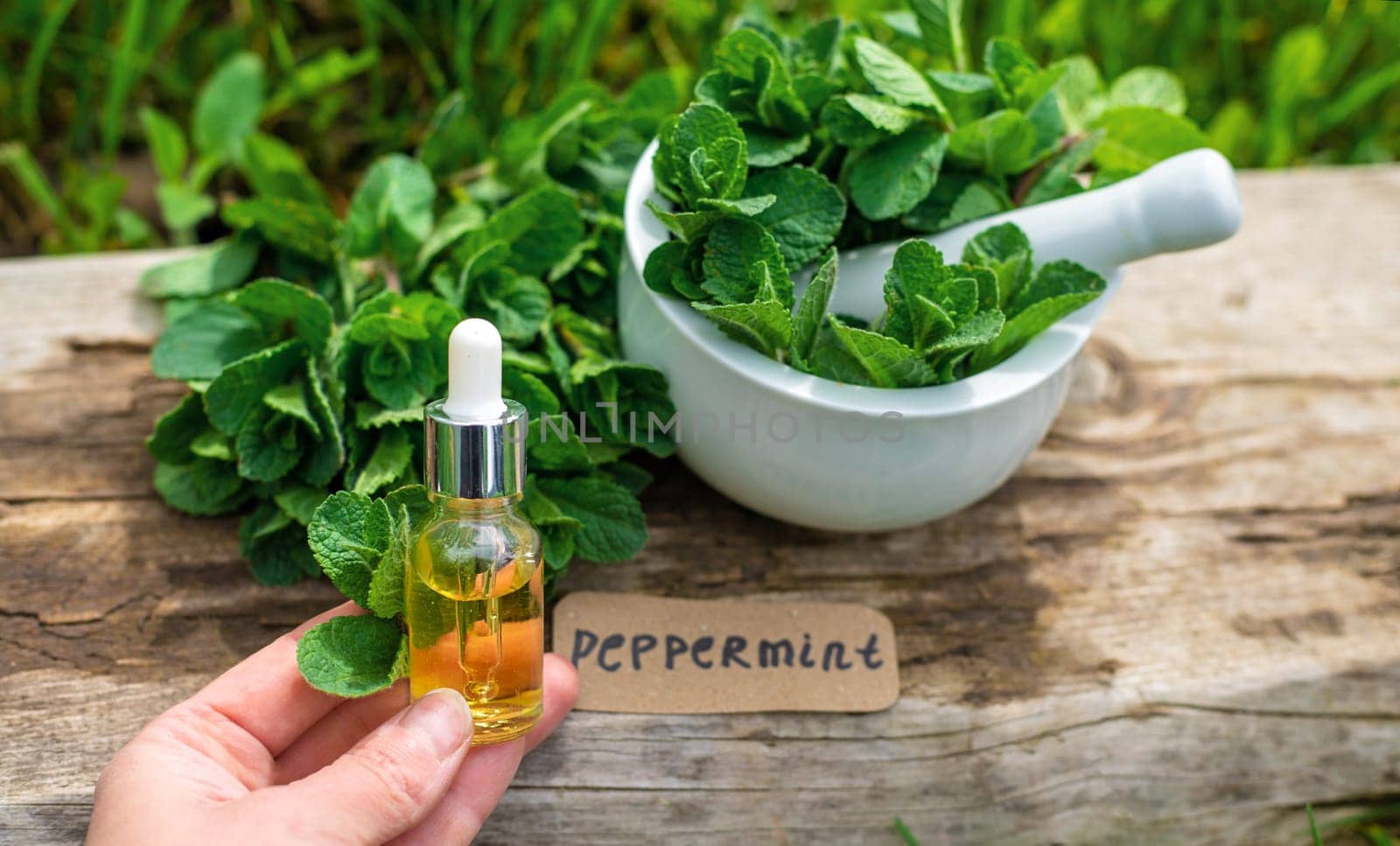 Peppermint extract essential oil and supplements. Selective focus. nature.