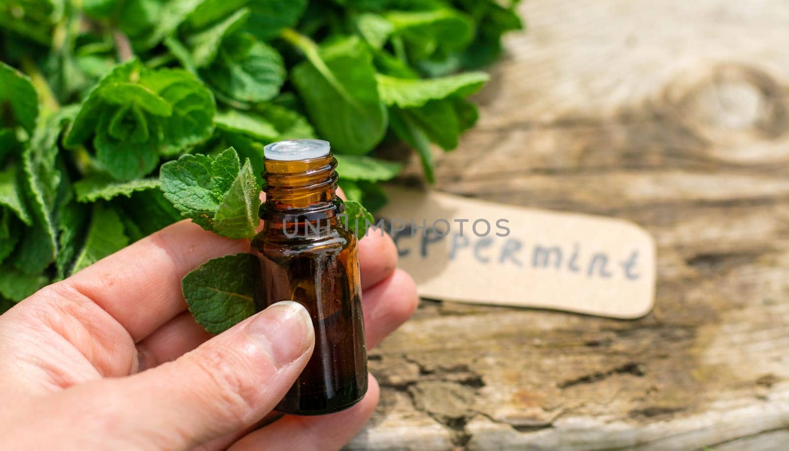 Peppermint extract essential oil and supplements. Selective focus. nature.
