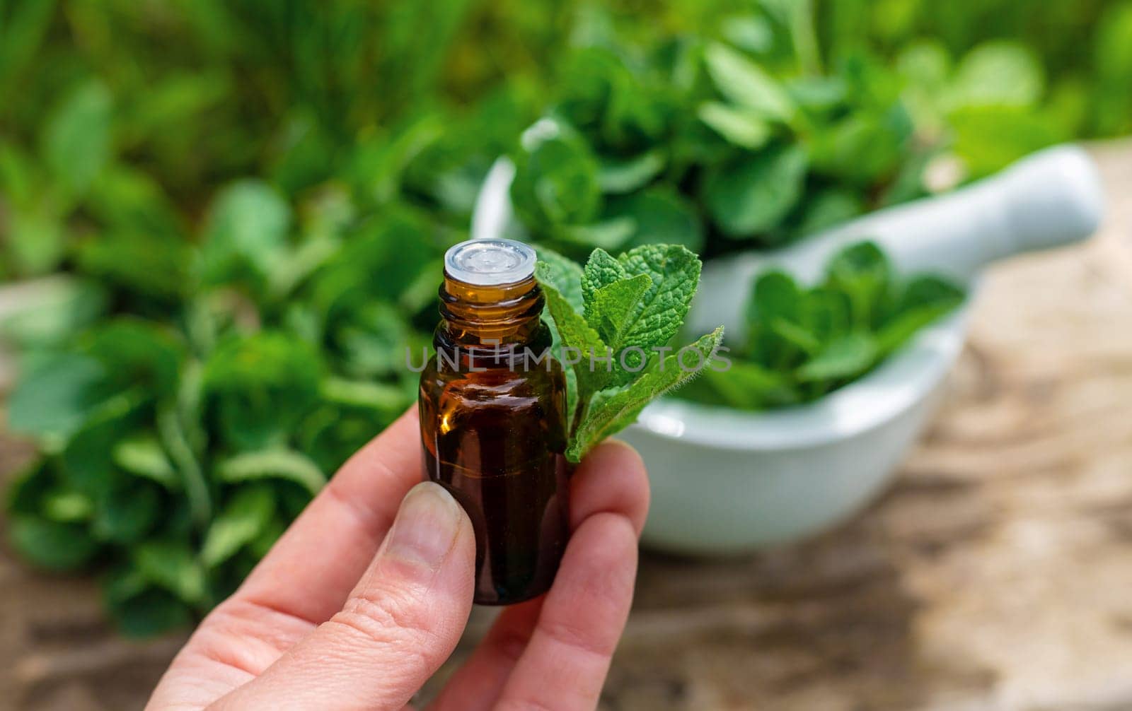 Peppermint extract essential oil and supplements. Selective focus. nature.