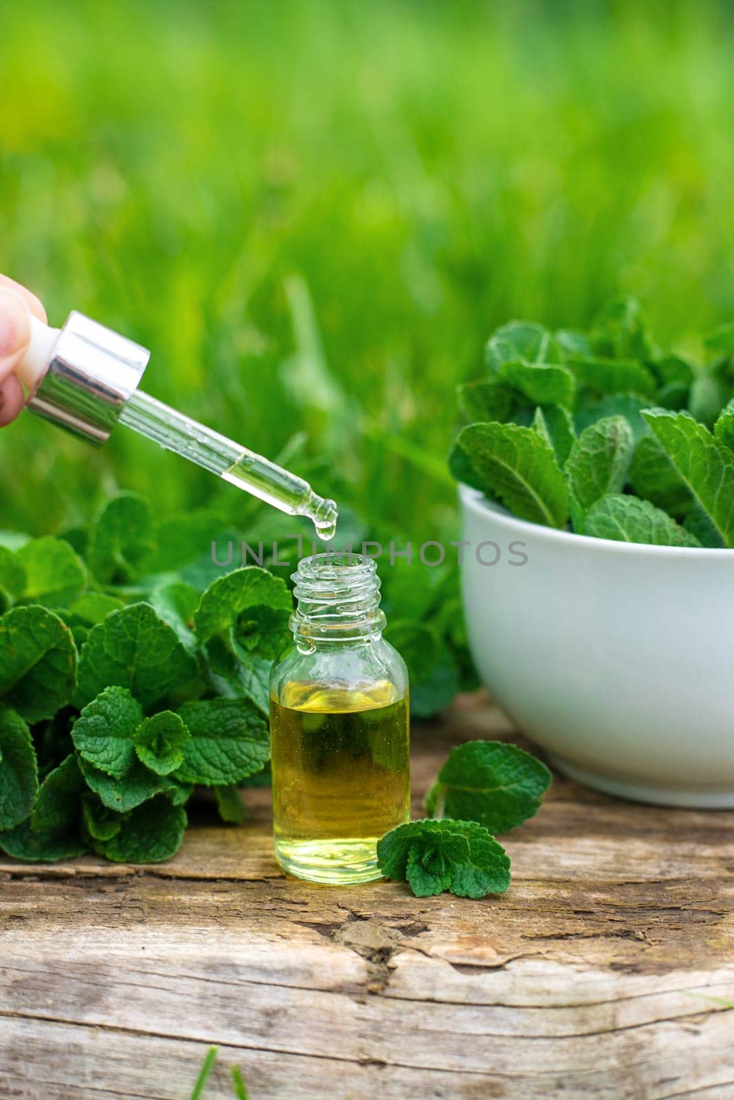 Peppermint extract essential oil and supplements. Selective focus. nature.