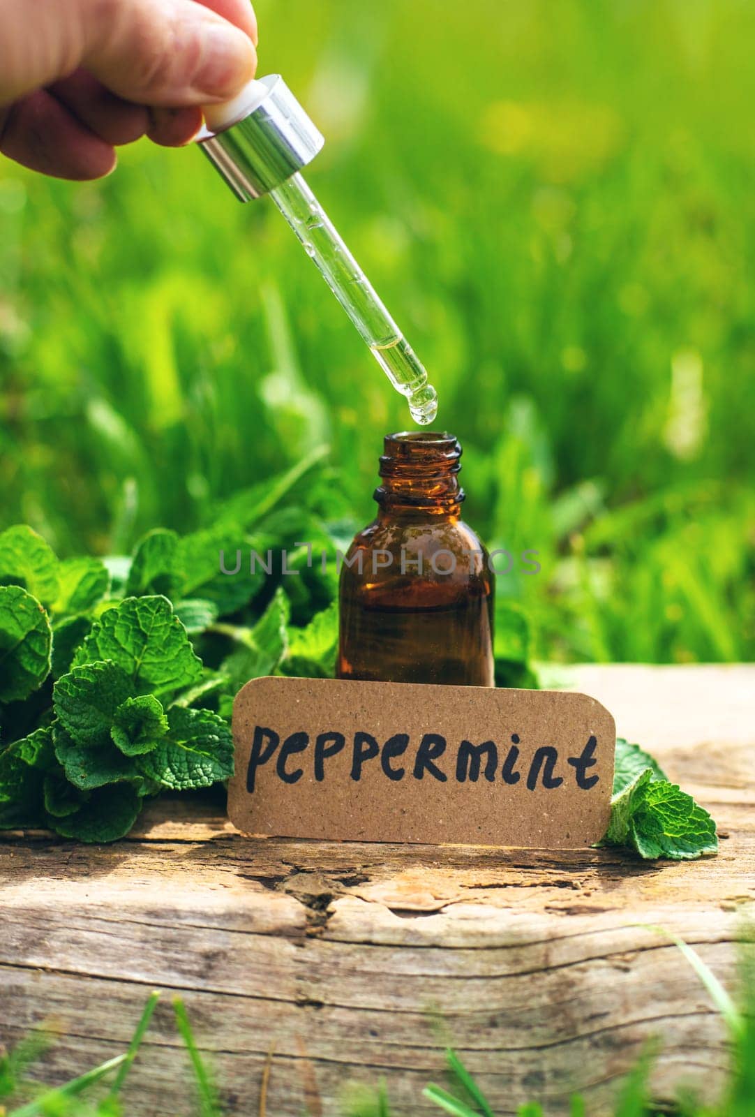 Peppermint extract essential oil and supplements. Selective focus. nature.
