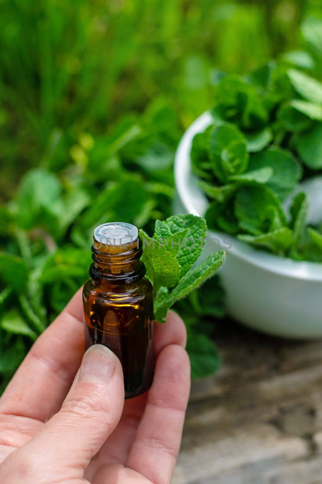 Peppermint extract essential oil and supplements. Selective focus. nature.