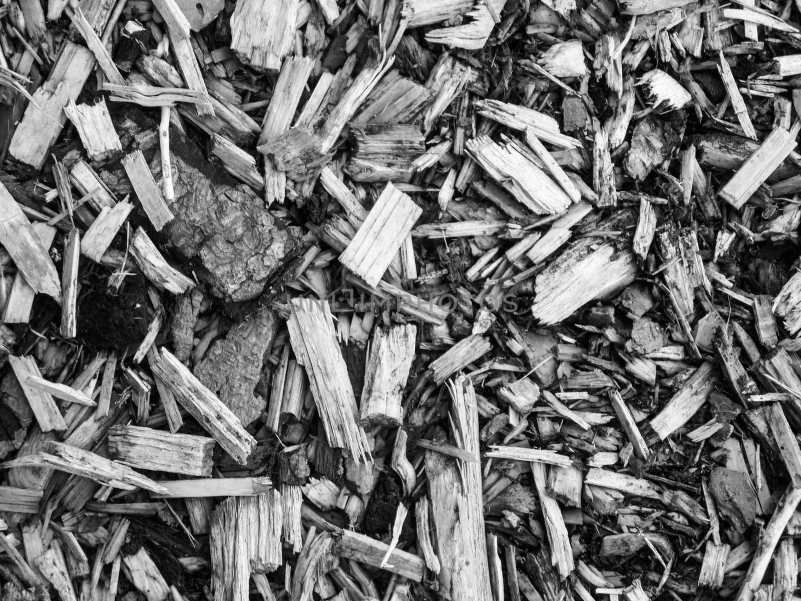 Formatfüllende Ansicht grober Holzspäne in Draufsicht und monochromer  Anmutung.