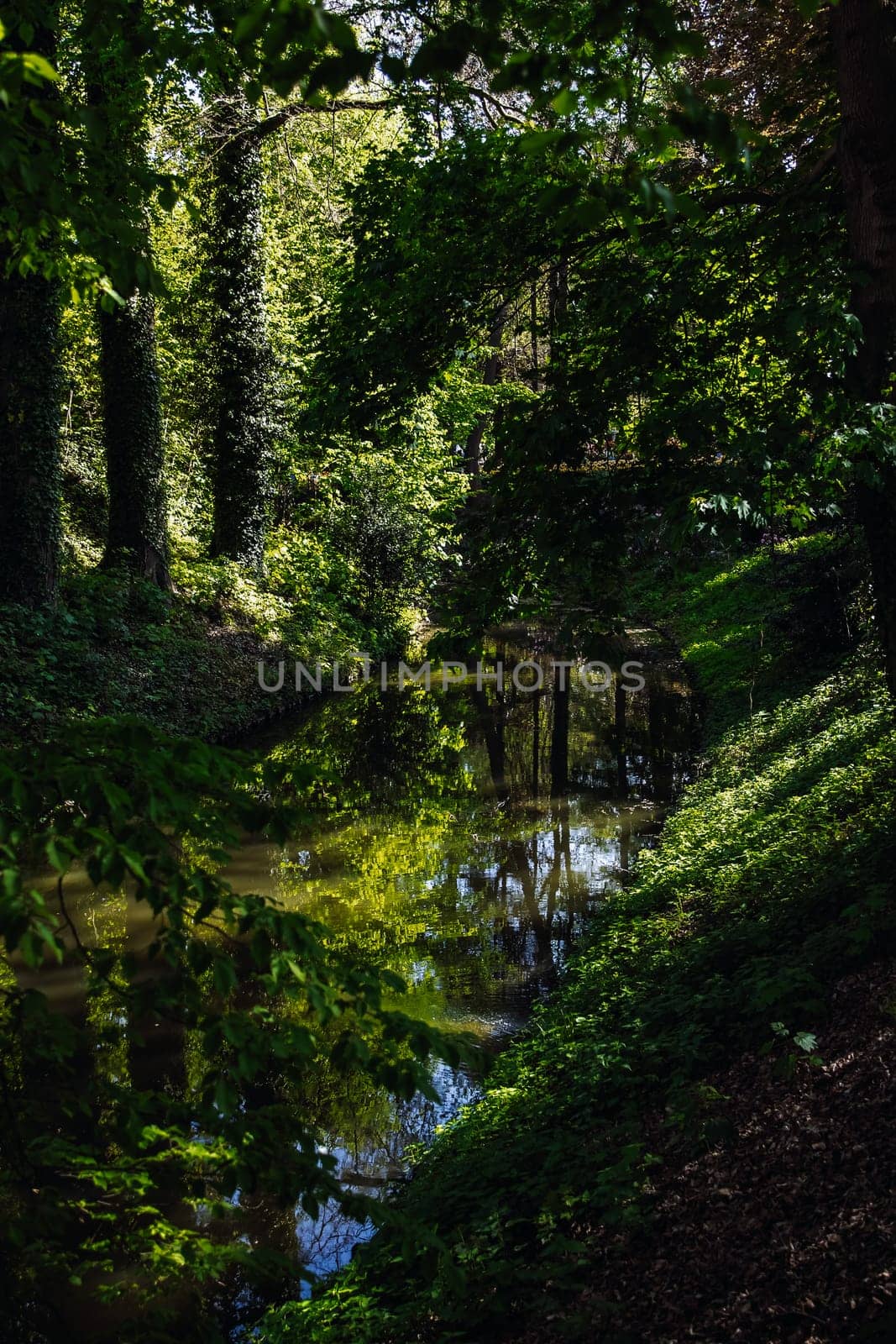 Beautiful view of a narrow river that runs with a left turn between trees in a wooded area in a public park on a sunny spring day, side view close-up. Concept natural backgrounds, forest rivers and streams.